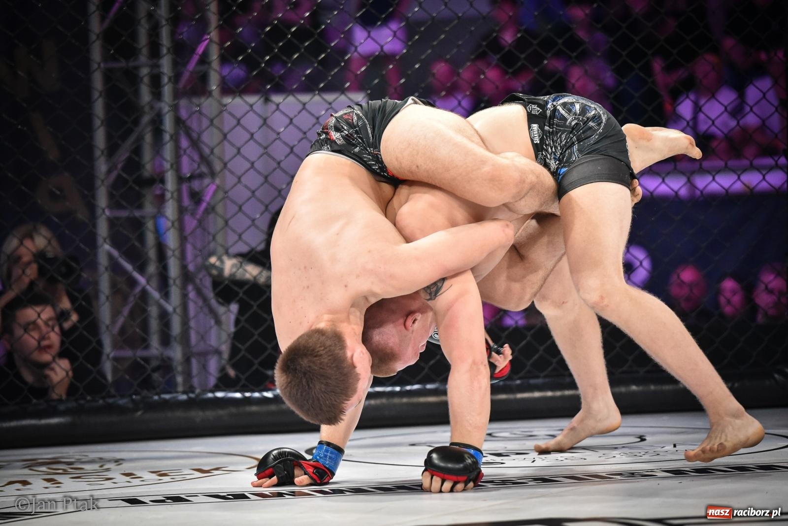 Zdjęcie w galerii na portalu naszraciborz.pl: Silesian MMA 26 i Walcz i Pomagaj 16 na BIS! Komplet publiczności i powrót dużej gali MMA do Raciborza wiadomości z regionu