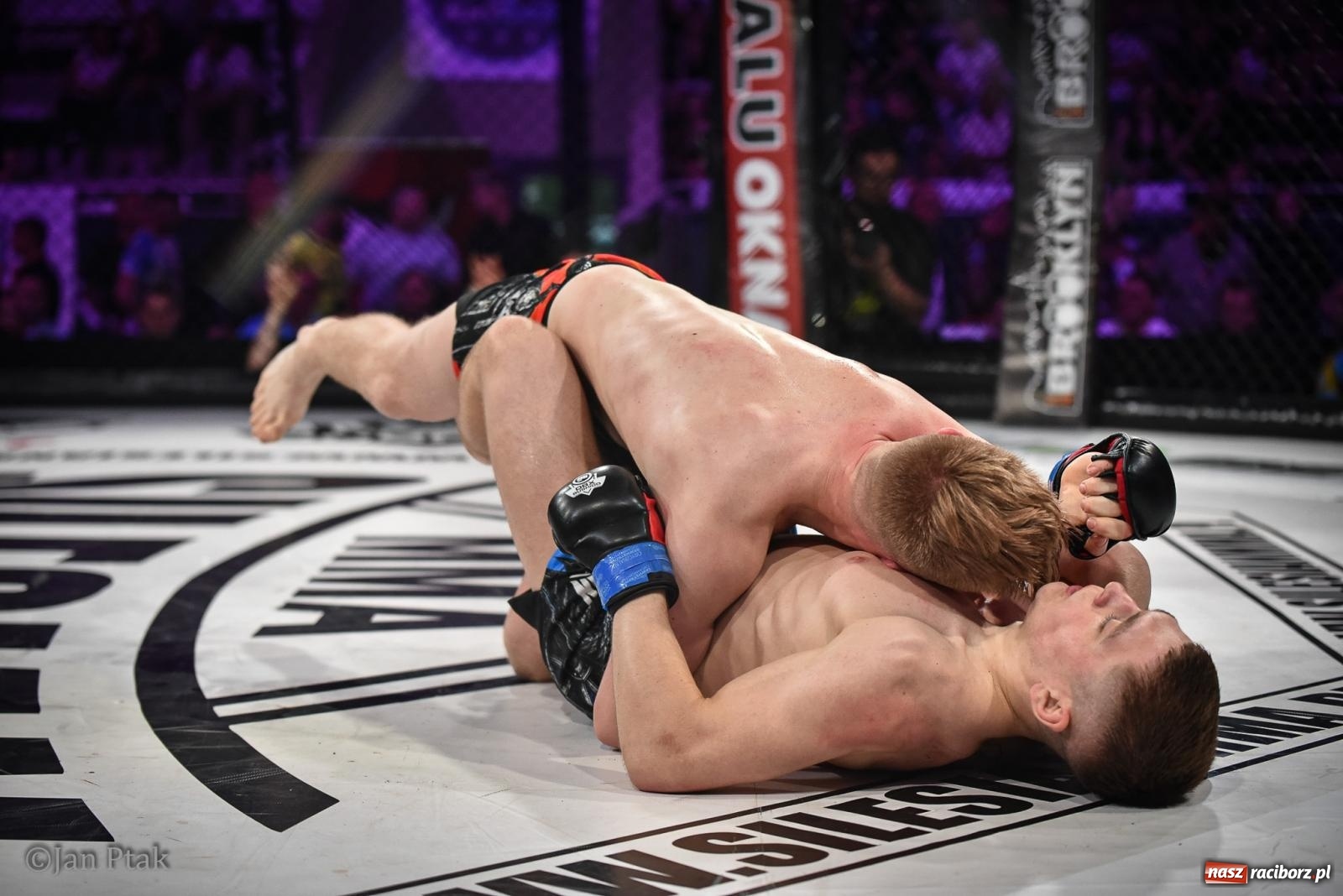Zdjęcie w galerii na portalu naszraciborz.pl: Silesian MMA 26 i Walcz i Pomagaj 16 na BIS! Komplet publiczności i powrót dużej gali MMA do Raciborza wiadomości z regionu