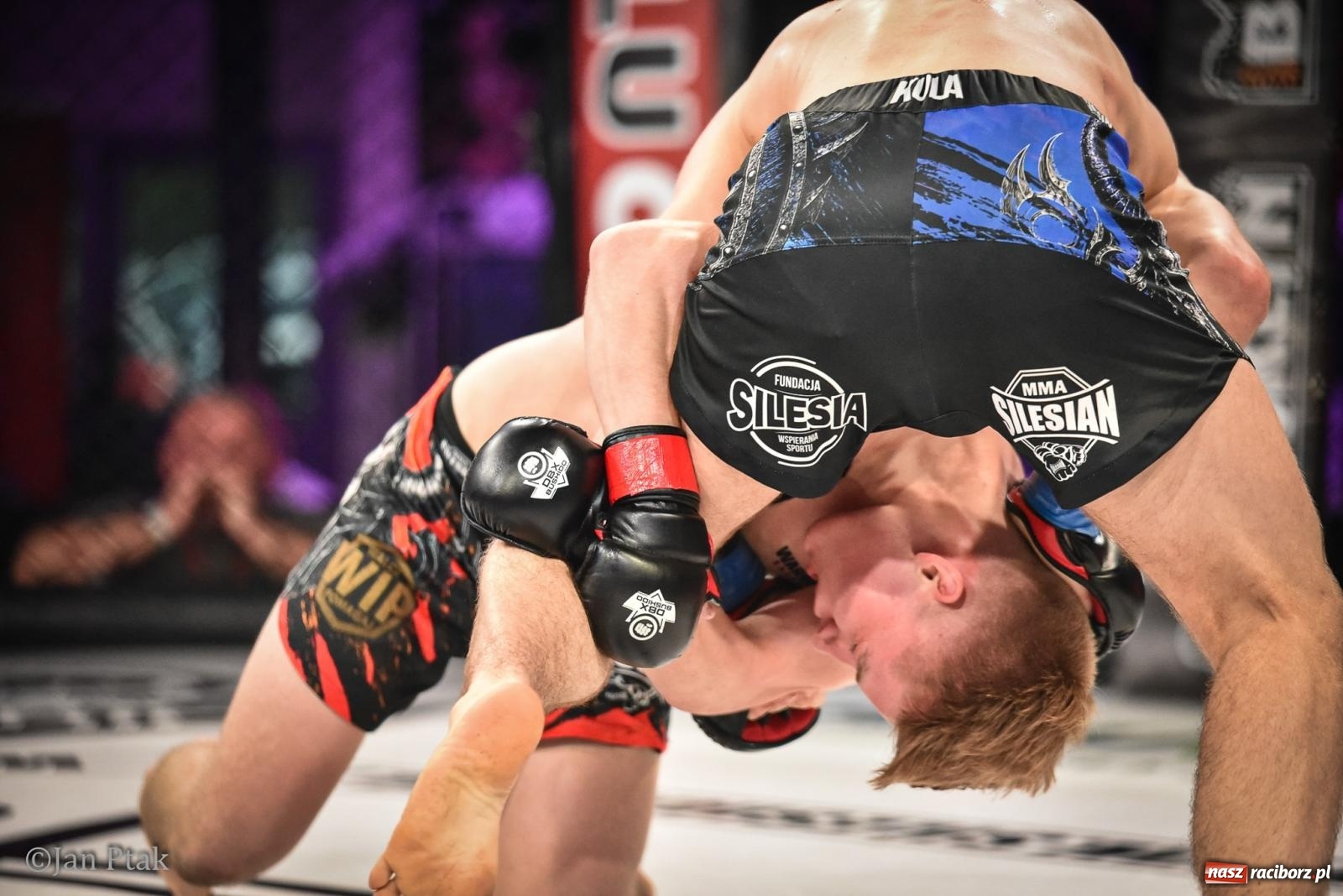 Zdjęcie w galerii na portalu naszraciborz.pl: Silesian MMA 26 i Walcz i Pomagaj 16 na BIS! Komplet publiczności i powrót dużej gali MMA do Raciborza wiadomości z regionu