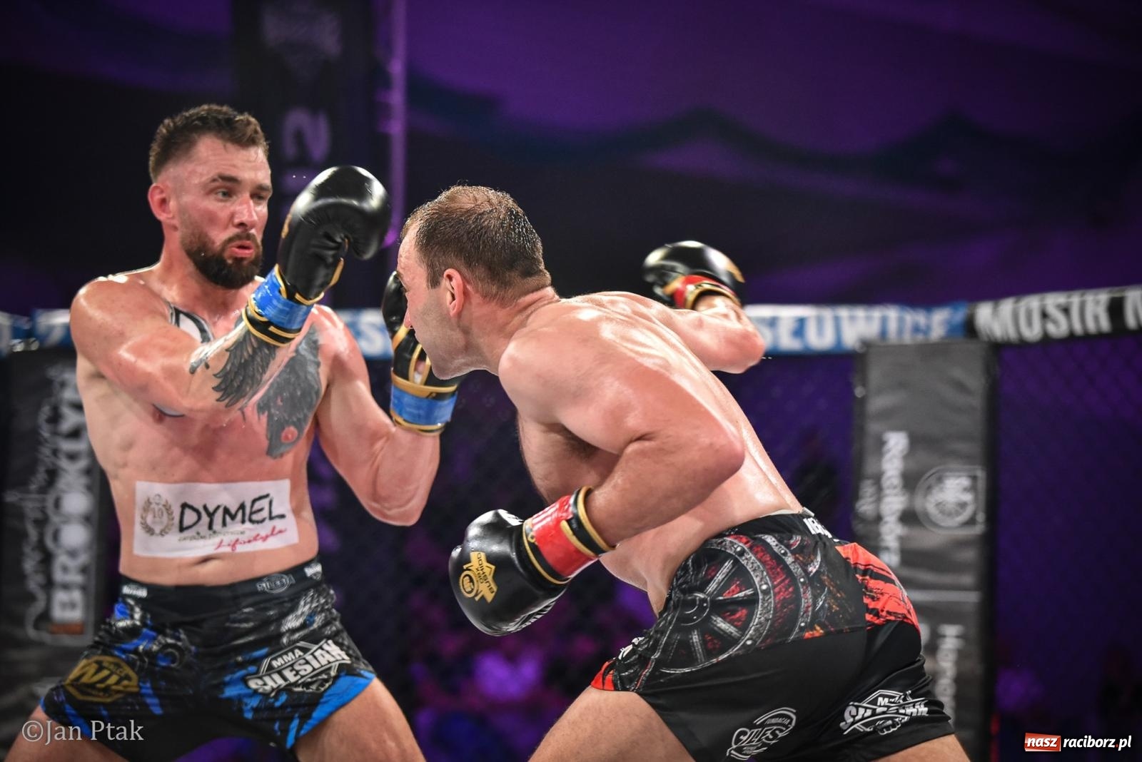 Zdjęcie w galerii na portalu naszraciborz.pl: Silesian MMA 26 i Walcz i Pomagaj 16 na BIS! Komplet publiczności i powrót dużej gali MMA do Raciborza wiadomości z regionu