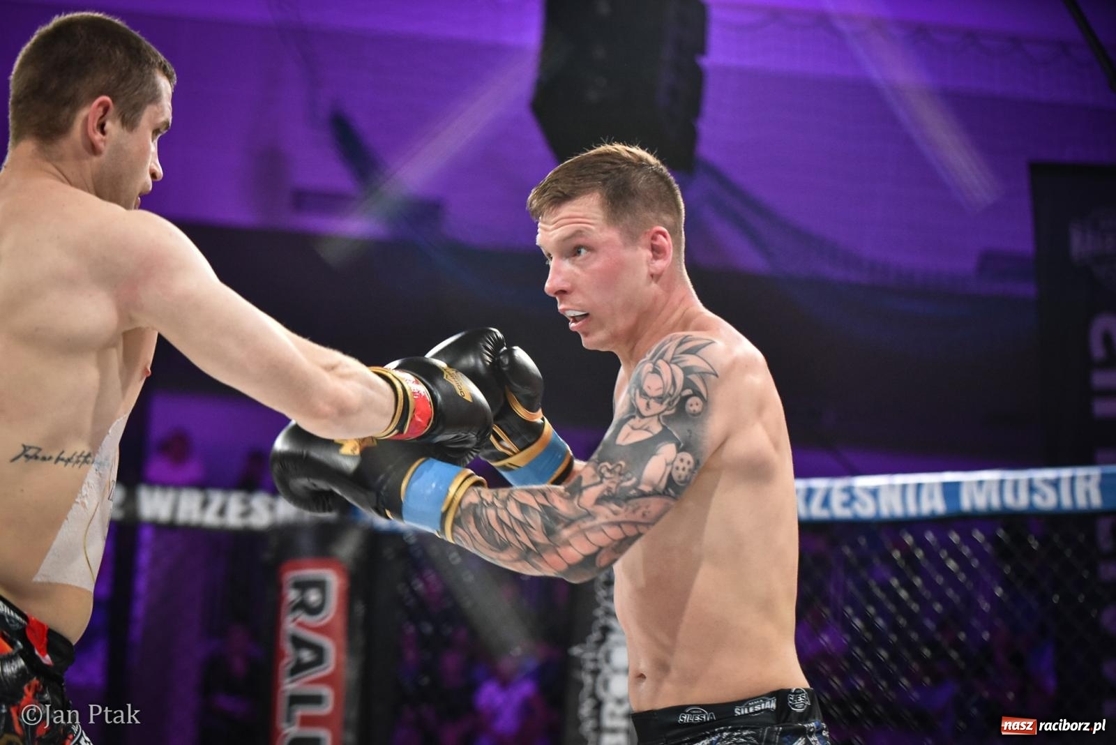 Zdjęcie w galerii na portalu naszraciborz.pl: Silesian MMA 26 i Walcz i Pomagaj 16 na BIS! Komplet publiczności i powrót dużej gali MMA do Raciborza wiadomości z regionu