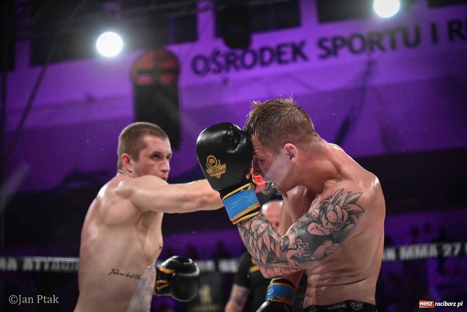 Zdjęcie w galerii na portalu naszraciborz.pl: Silesian MMA 26 i Walcz i Pomagaj 16 na BIS! Komplet publiczności i powrót dużej gali MMA do Raciborza wiadomości z regionu