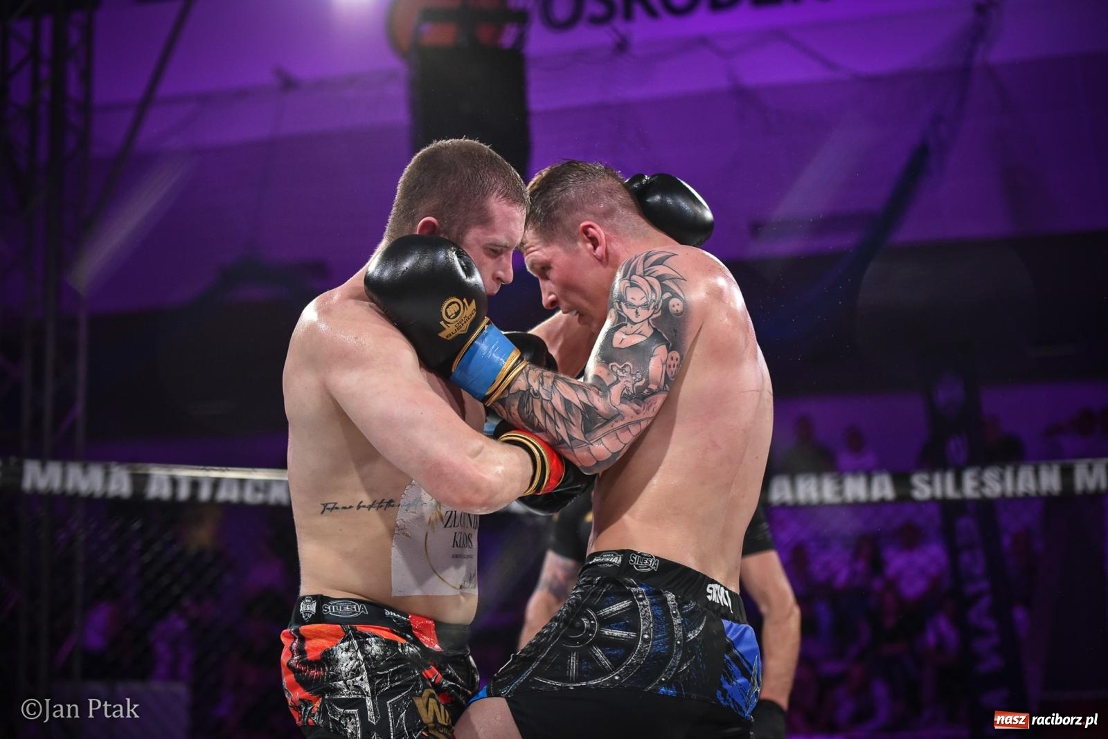 Zdjęcie w galerii na portalu naszraciborz.pl: Silesian MMA 26 i Walcz i Pomagaj 16 na BIS! Komplet publiczności i powrót dużej gali MMA do Raciborza wiadomości z regionu