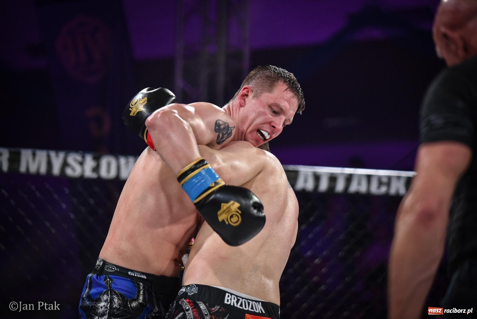 Zdjęcie w galerii na portalu naszraciborz.pl: Silesian MMA 26 i Walcz i Pomagaj 16 na BIS! Komplet publiczności i powrót dużej gali MMA do Raciborza wiadomości z regionu