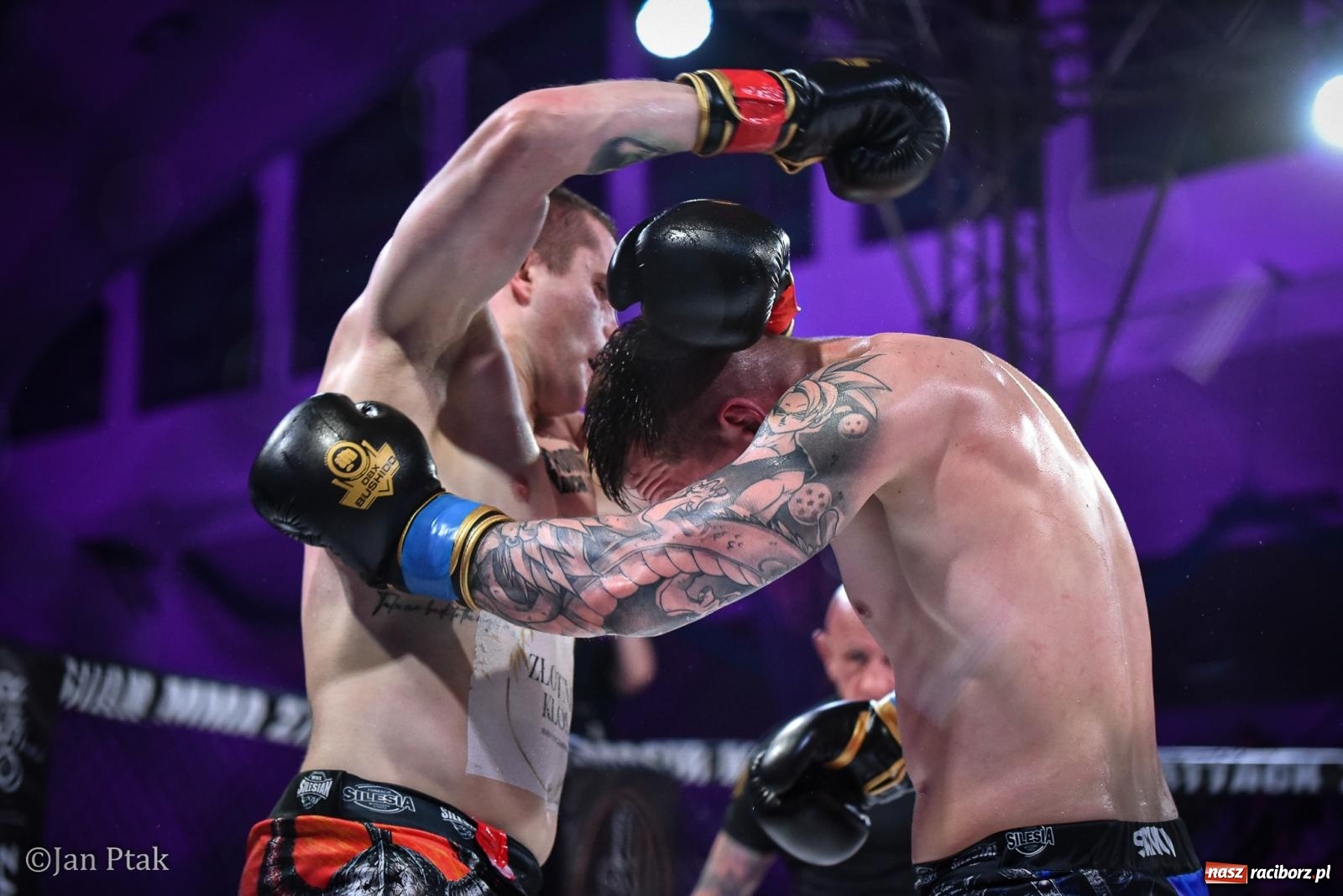 Zdjęcie w galerii na portalu naszraciborz.pl: Silesian MMA 26 i Walcz i Pomagaj 16 na BIS! Komplet publiczności i powrót dużej gali MMA do Raciborza wiadomości z regionu