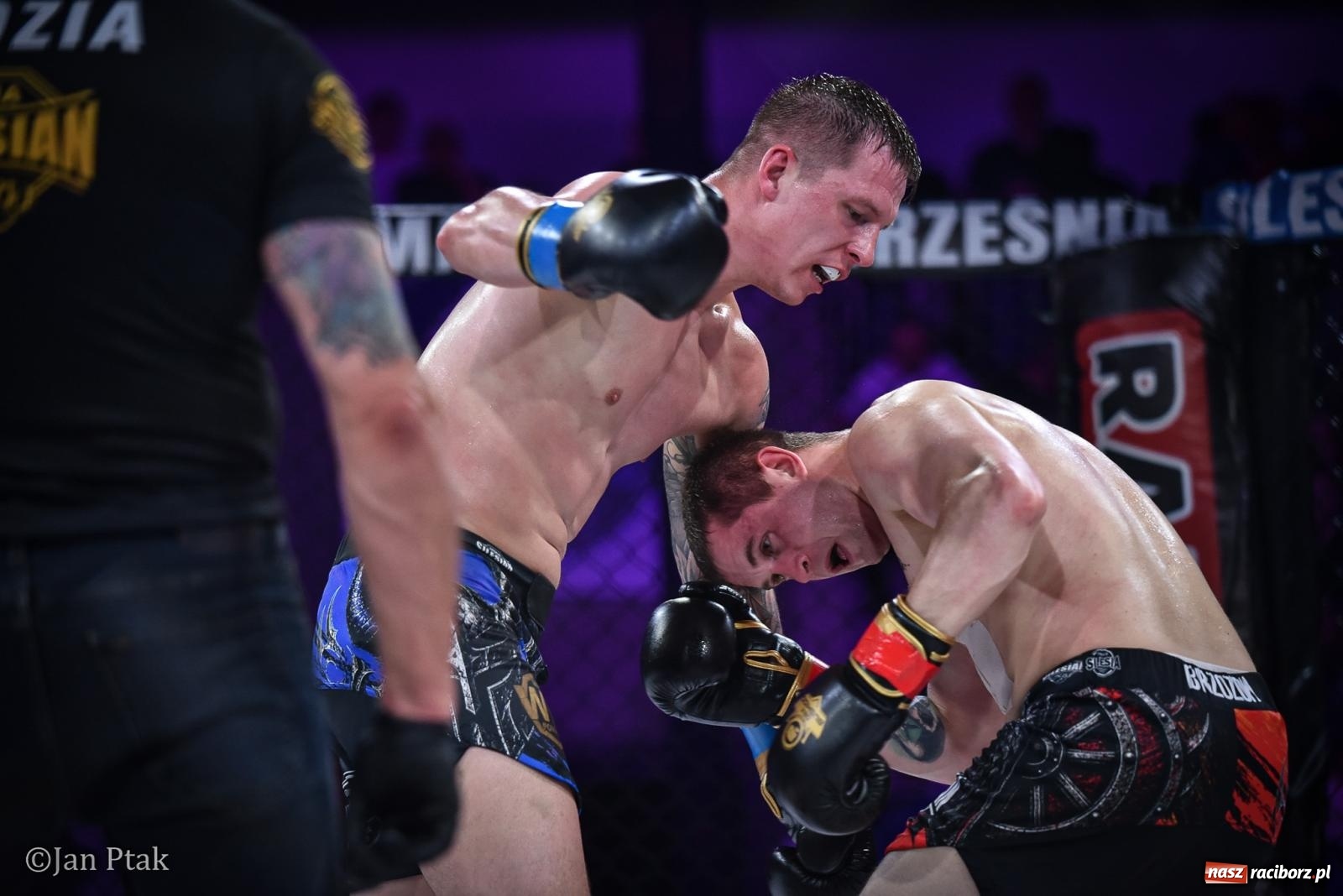 Zdjęcie w galerii na portalu naszraciborz.pl: Silesian MMA 26 i Walcz i Pomagaj 16 na BIS! Komplet publiczności i powrót dużej gali MMA do Raciborza wiadomości z regionu