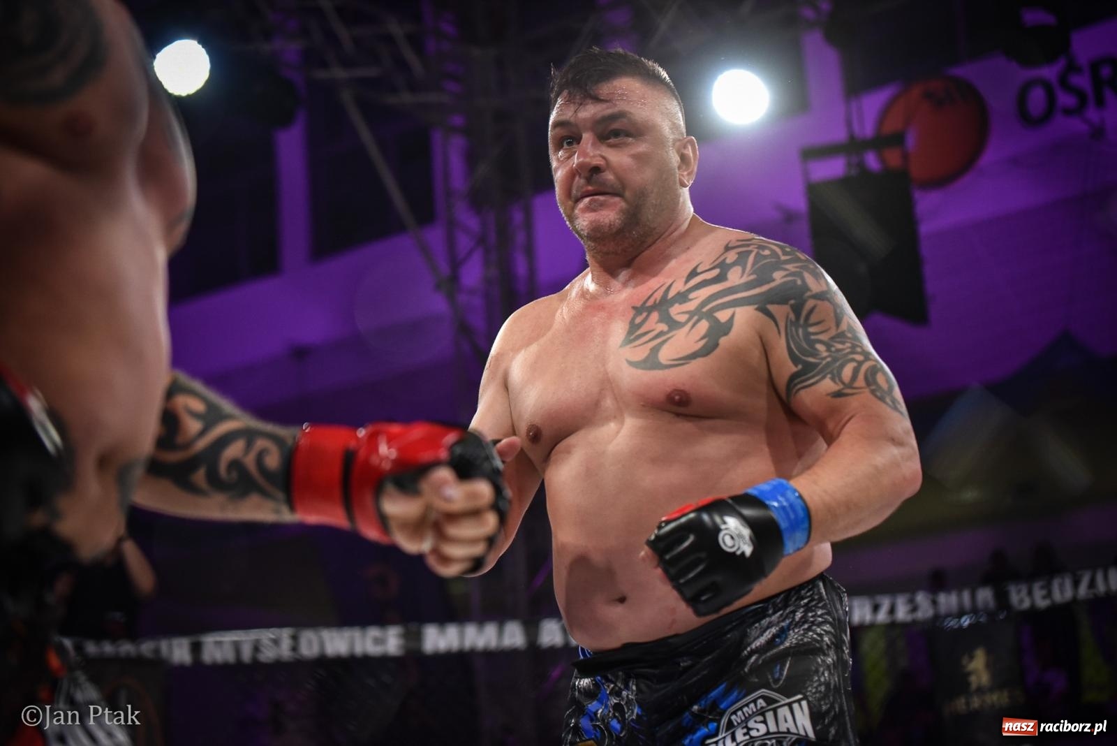 Zdjęcie w galerii na portalu naszraciborz.pl: Silesian MMA 26 i Walcz i Pomagaj 16 na BIS! Komplet publiczności i powrót dużej gali MMA do Raciborza wiadomości z regionu