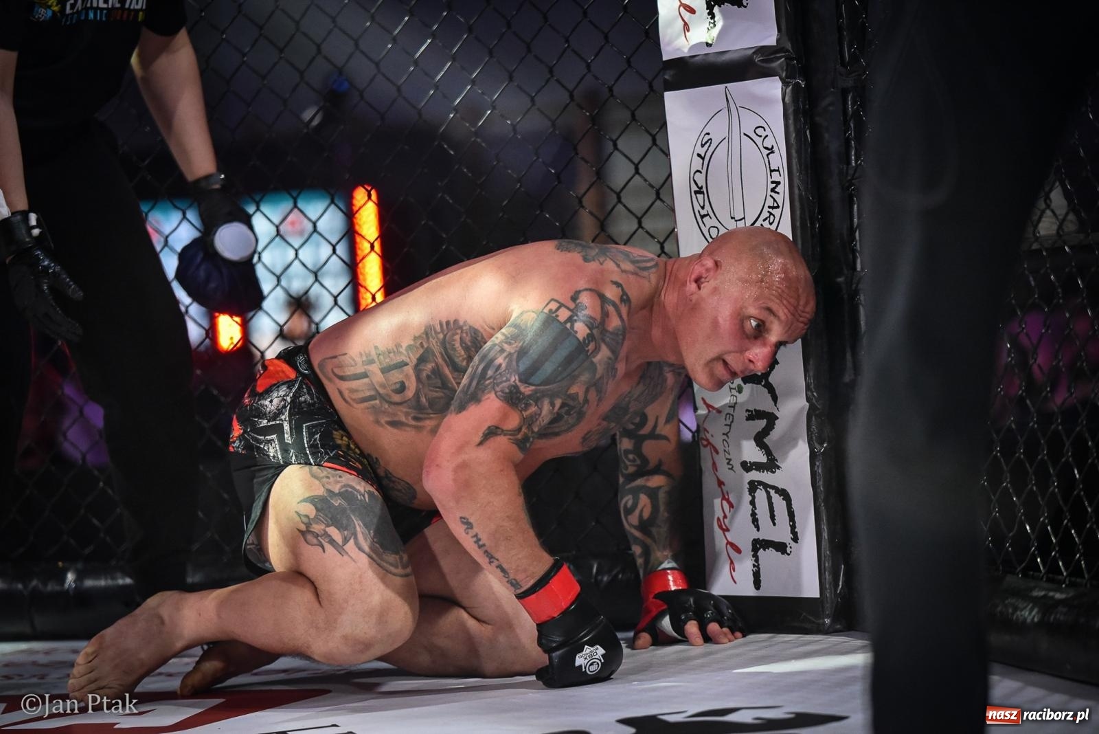 Zdjęcie w galerii na portalu naszraciborz.pl: Silesian MMA 26 i Walcz i Pomagaj 16 na BIS! Komplet publiczności i powrót dużej gali MMA do Raciborza wiadomości z regionu