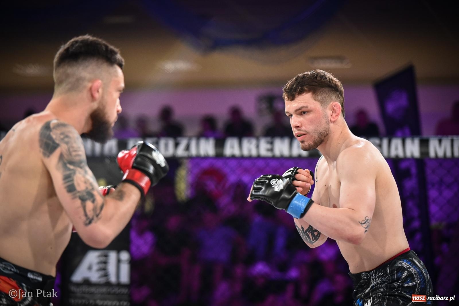 Zdjęcie w galerii na portalu naszraciborz.pl: Silesian MMA 26 i Walcz i Pomagaj 16 na BIS! Komplet publiczności i powrót dużej gali MMA do Raciborza wiadomości z regionu