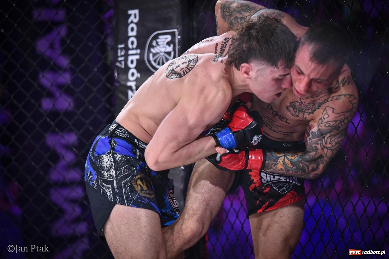Zdjęcie w galerii na portalu naszraciborz.pl: Silesian MMA 26 i Walcz i Pomagaj 16 na BIS! Komplet publiczności i powrót dużej gali MMA do Raciborza wiadomości z regionu