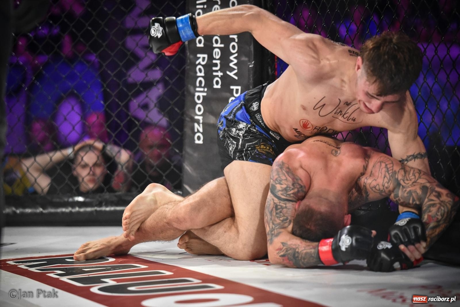 Zdjęcie w galerii na portalu naszraciborz.pl: Silesian MMA 26 i Walcz i Pomagaj 16 na BIS! Komplet publiczności i powrót dużej gali MMA do Raciborza wiadomości z regionu