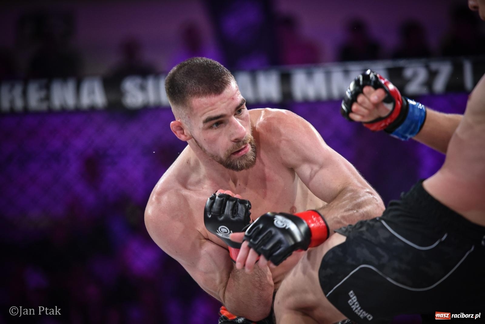Zdjęcie w galerii na portalu naszraciborz.pl: Silesian MMA 26 i Walcz i Pomagaj 16 na BIS! Komplet publiczności i powrót dużej gali MMA do Raciborza wiadomości z regionu