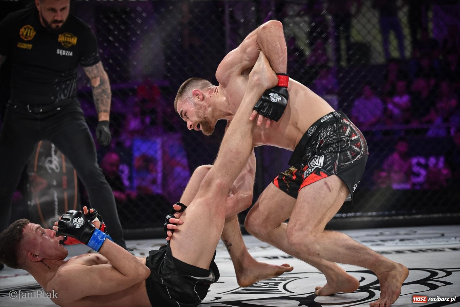 Zdjęcie w galerii na portalu naszraciborz.pl: Silesian MMA 26 i Walcz i Pomagaj 16 na BIS! Komplet publiczności i powrót dużej gali MMA do Raciborza wiadomości z regionu