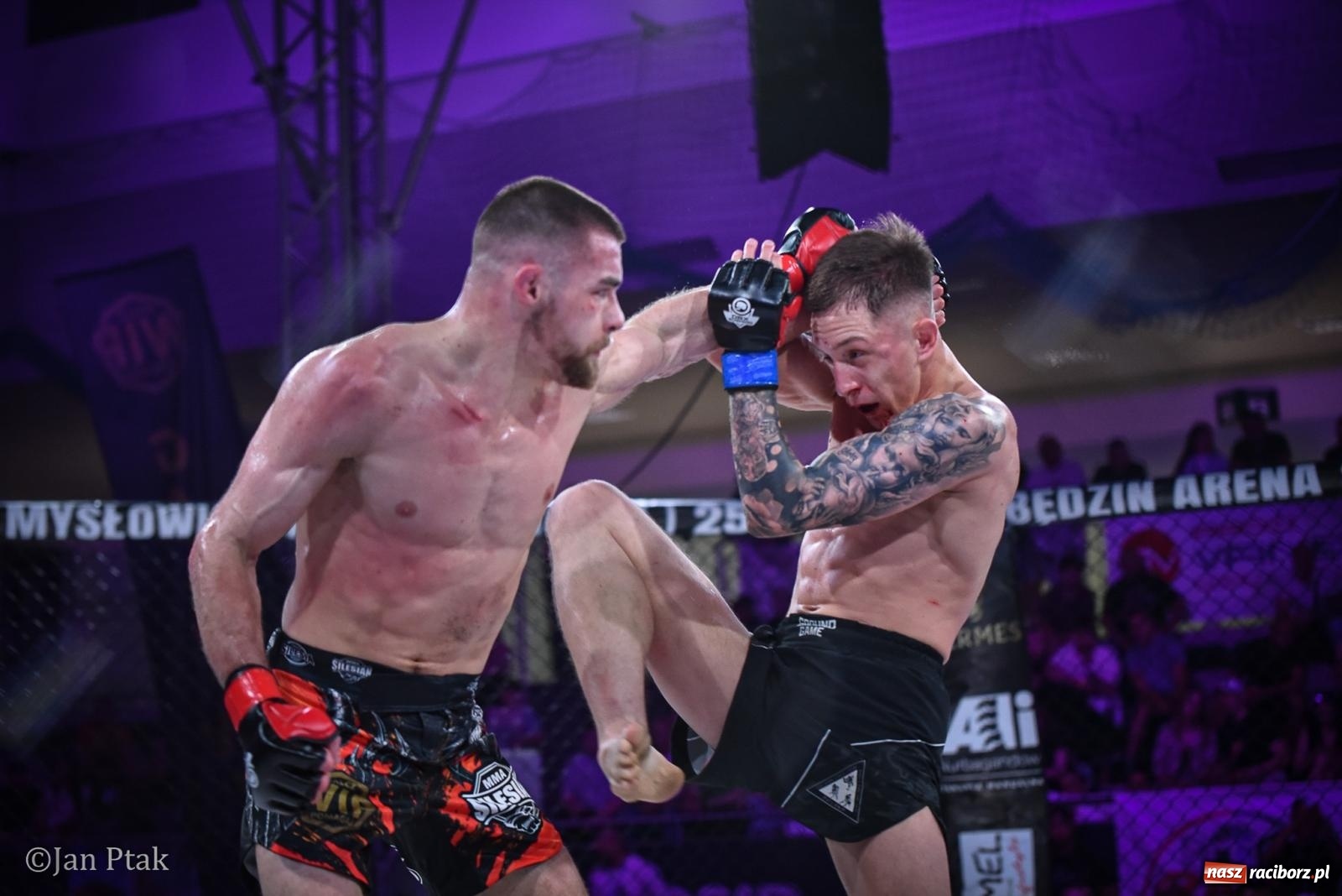 Zdjęcie w galerii na portalu naszraciborz.pl: Silesian MMA 26 i Walcz i Pomagaj 16 na BIS! Komplet publiczności i powrót dużej gali MMA do Raciborza wiadomości z regionu