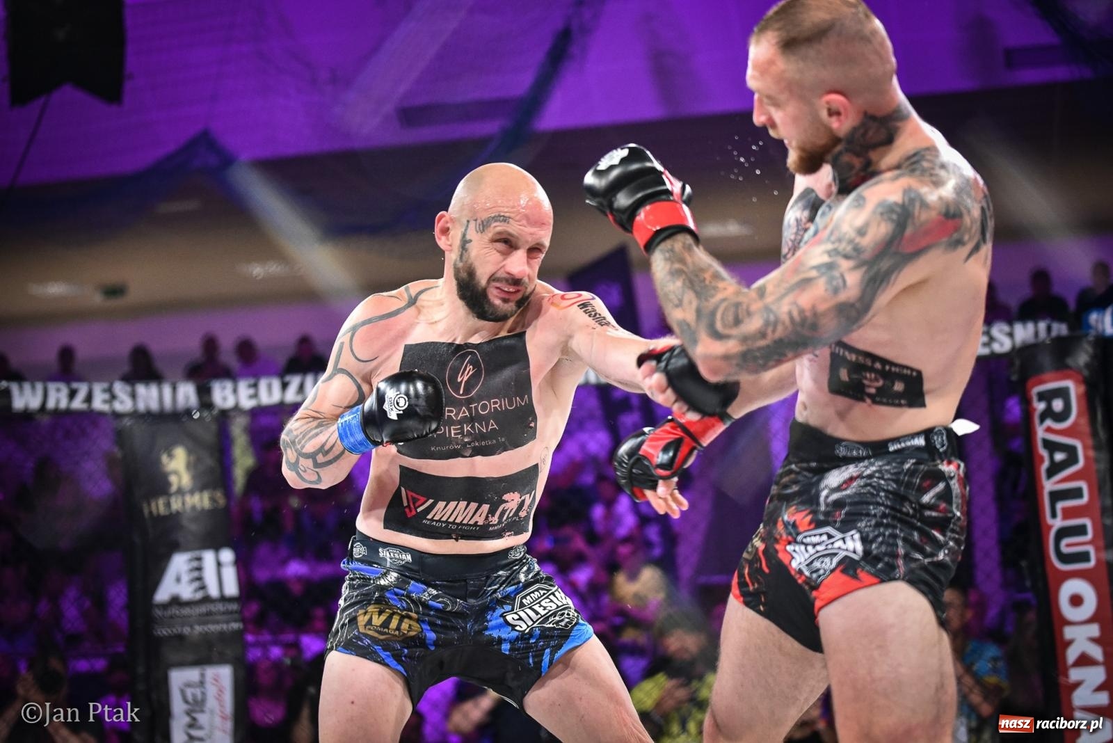 Zdjęcie w galerii na portalu naszraciborz.pl: Silesian MMA 26 i Walcz i Pomagaj 16 na BIS! Komplet publiczności i powrót dużej gali MMA do Raciborza wiadomości z regionu