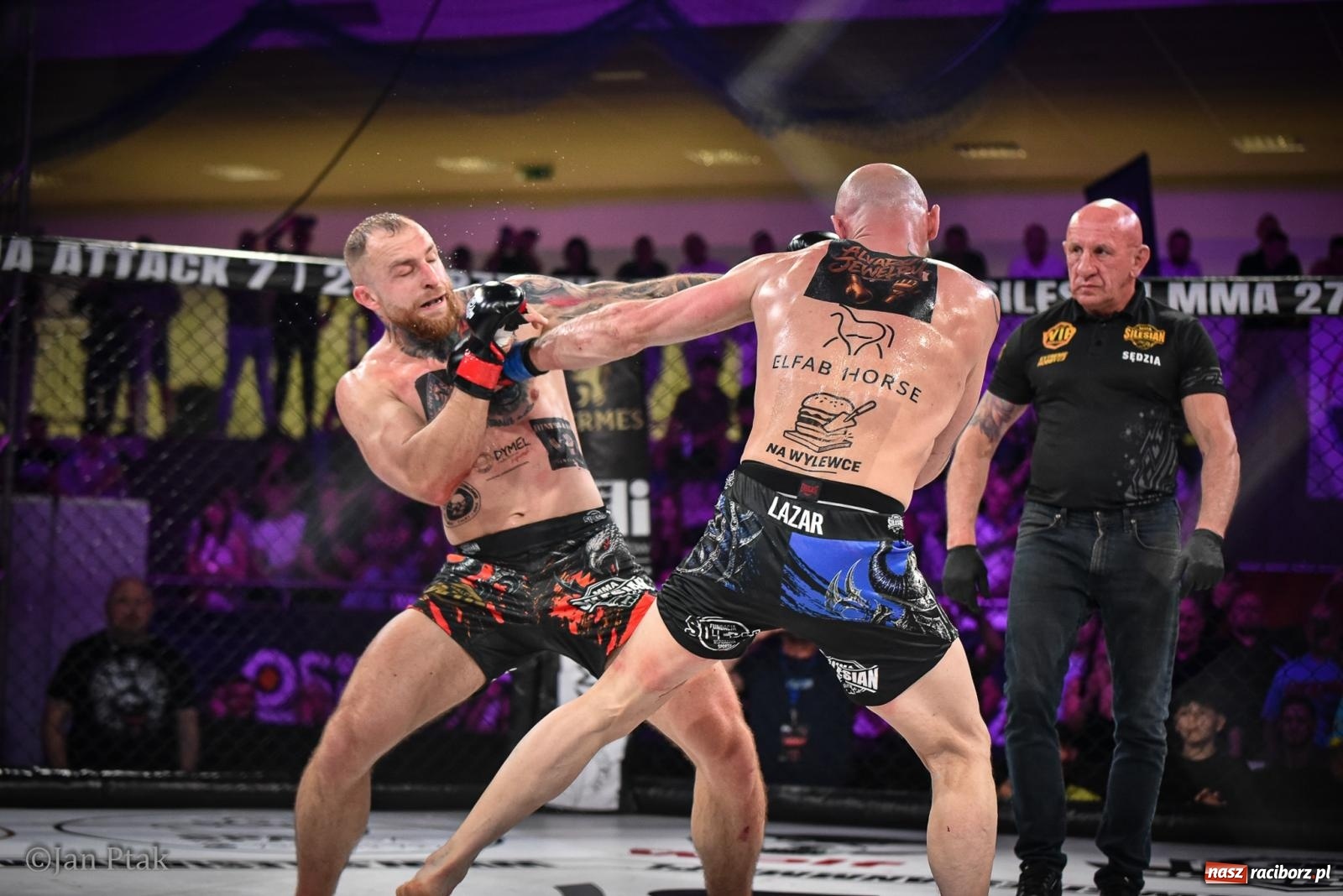 Zdjęcie w galerii na portalu naszraciborz.pl: Silesian MMA 26 i Walcz i Pomagaj 16 na BIS! Komplet publiczności i powrót dużej gali MMA do Raciborza wiadomości z regionu