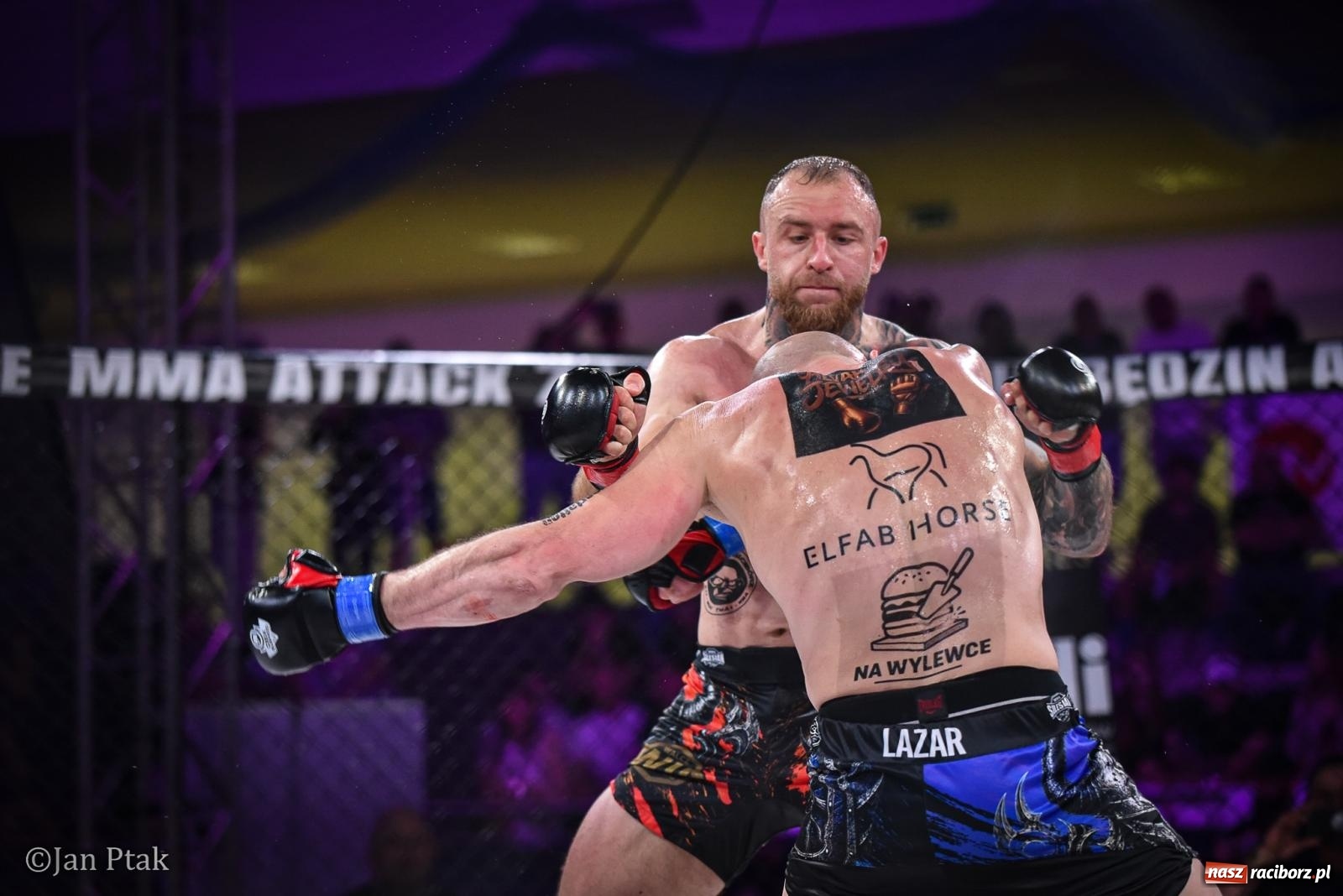 Zdjęcie w galerii na portalu naszraciborz.pl: Silesian MMA 26 i Walcz i Pomagaj 16 na BIS! Komplet publiczności i powrót dużej gali MMA do Raciborza wiadomości z regionu