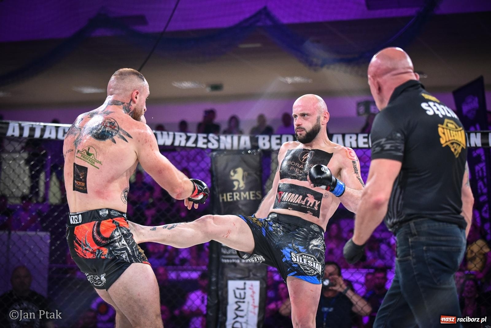 Zdjęcie w galerii na portalu naszraciborz.pl: Silesian MMA 26 i Walcz i Pomagaj 16 na BIS! Komplet publiczności i powrót dużej gali MMA do Raciborza wiadomości z regionu