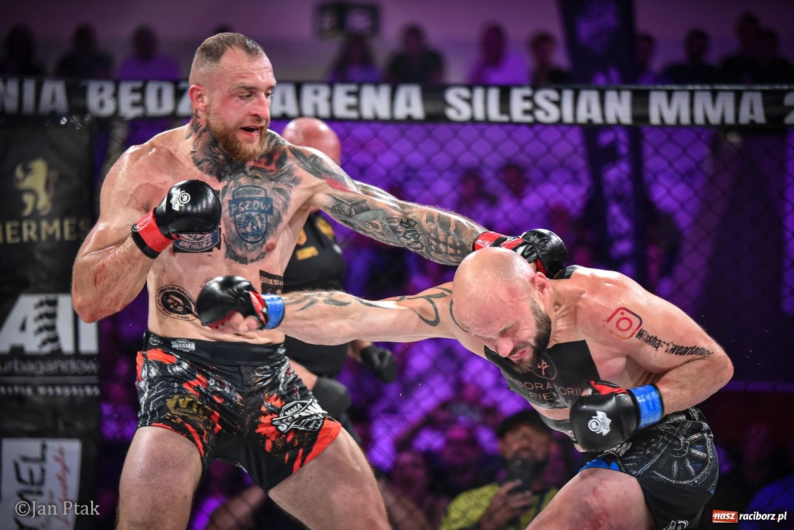 Zdjęcie w galerii na portalu naszraciborz.pl: Silesian MMA 26 i Walcz i Pomagaj 16 na BIS! Komplet publiczności i powrót dużej gali MMA do Raciborza wiadomości z regionu