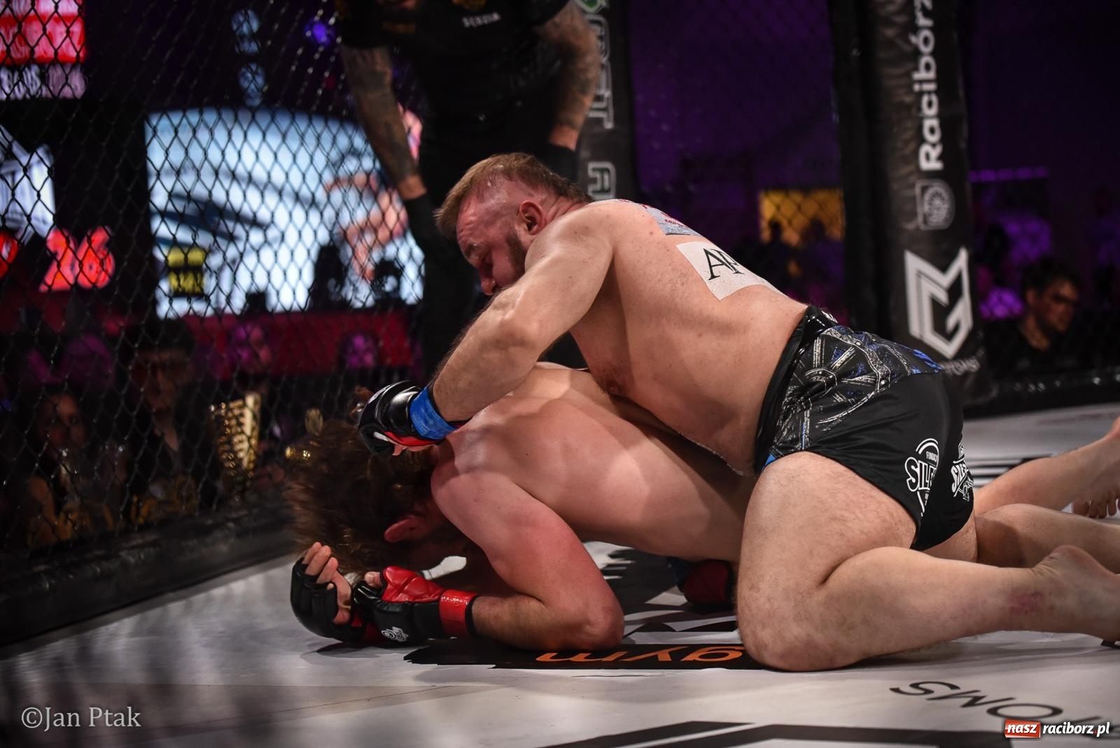 Zdjęcie w galerii na portalu naszraciborz.pl: Silesian MMA 26 i Walcz i Pomagaj 16 na BIS! Komplet publiczności i powrót dużej gali MMA do Raciborza wiadomości z regionu