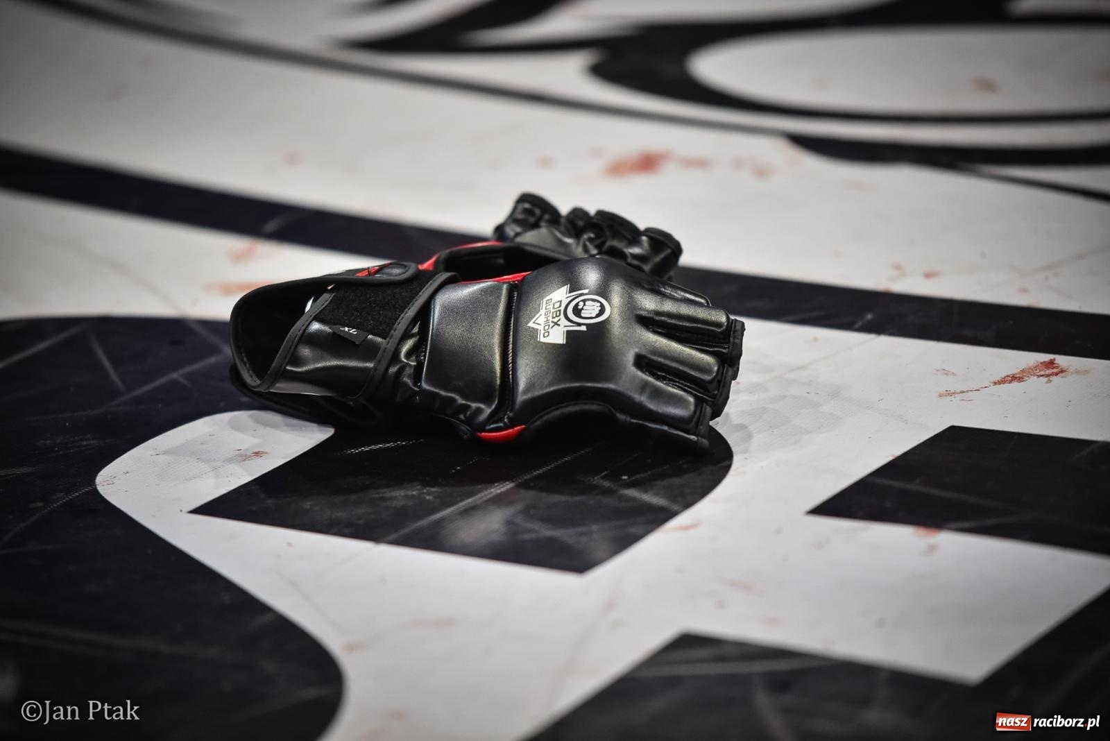Zdjęcie w galerii na portalu naszraciborz.pl: Silesian MMA 26 i Walcz i Pomagaj 16 na BIS! Komplet publiczności i powrót dużej gali MMA do Raciborza wiadomości z regionu
