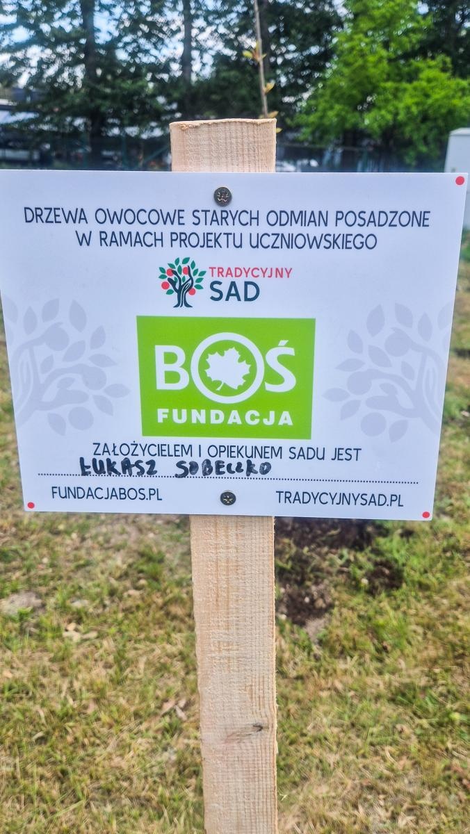 Zdjęcie w galerii na portalu naszraciborz.pl: Tradycyjny Sad w Młodzieżowym Ośrodku Wychowawczym w Rudach wiadomości z regionu