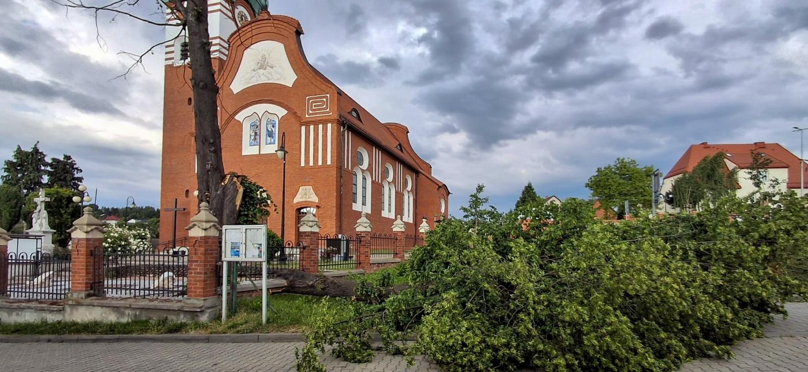 Zdjęcie w galerii na portalu naszraciborz.pl: Straż pożarna interweniowała dziewięć razy w powiecie raciborskim. Zdarzenia medyczne, drzewa na drogach i działania po silnym wietrze wiadomości z regionu