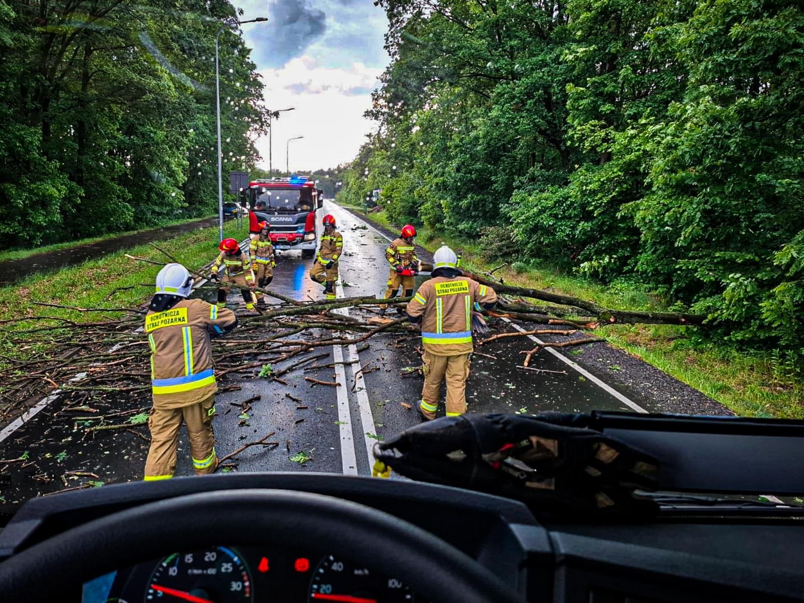 Zdjęcie w galerii na portalu naszraciborz.pl: Straż pożarna interweniowała dziewięć razy w powiecie raciborskim. Zdarzenia medyczne, drzewa na drogach i działania po silnym wietrze wiadomości z regionu