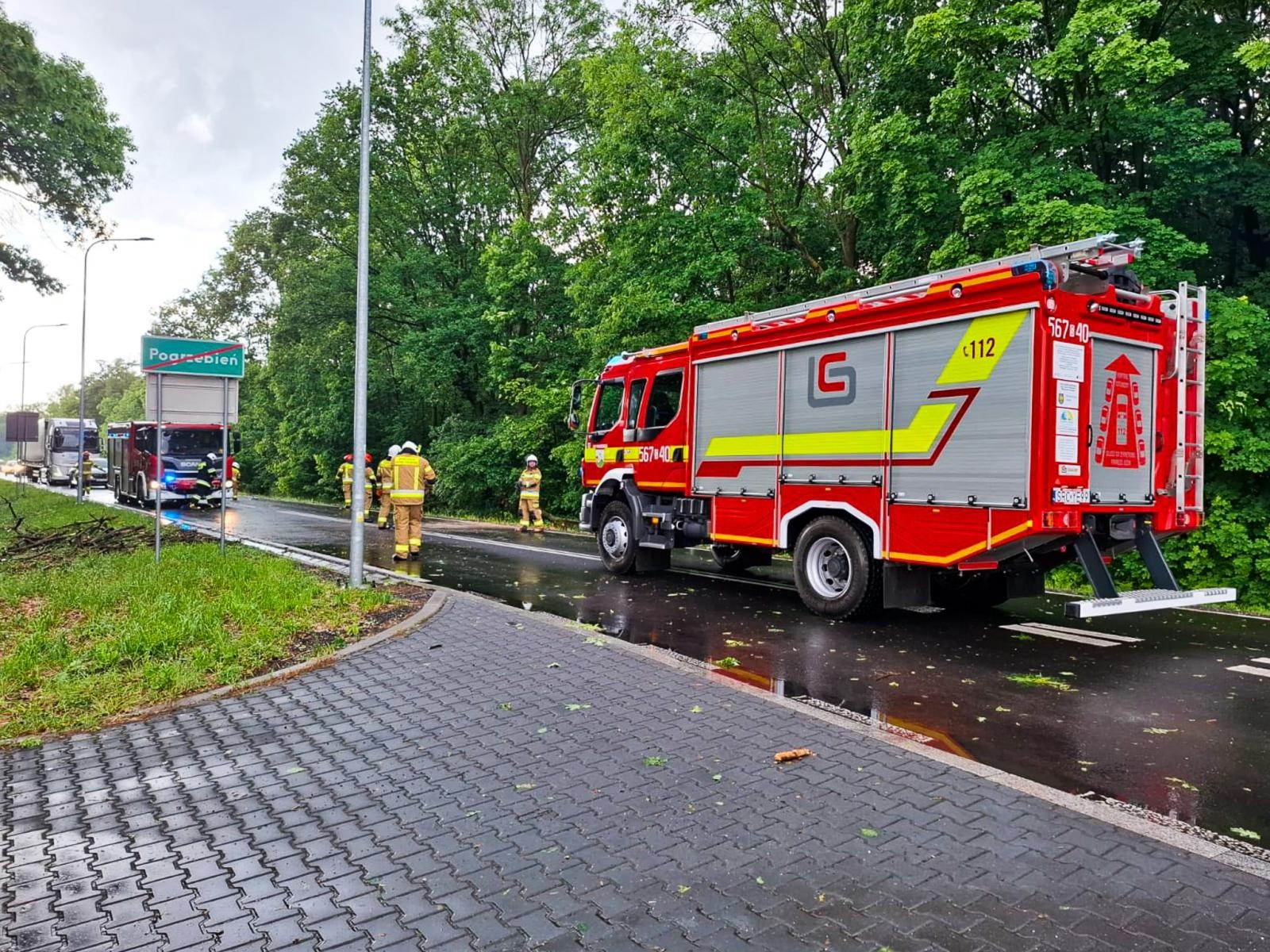 Zdjęcie w galerii na portalu naszraciborz.pl: Straż pożarna interweniowała dziewięć razy w powiecie raciborskim. Zdarzenia medyczne, drzewa na drogach i działania po silnym wietrze wiadomości z regionu