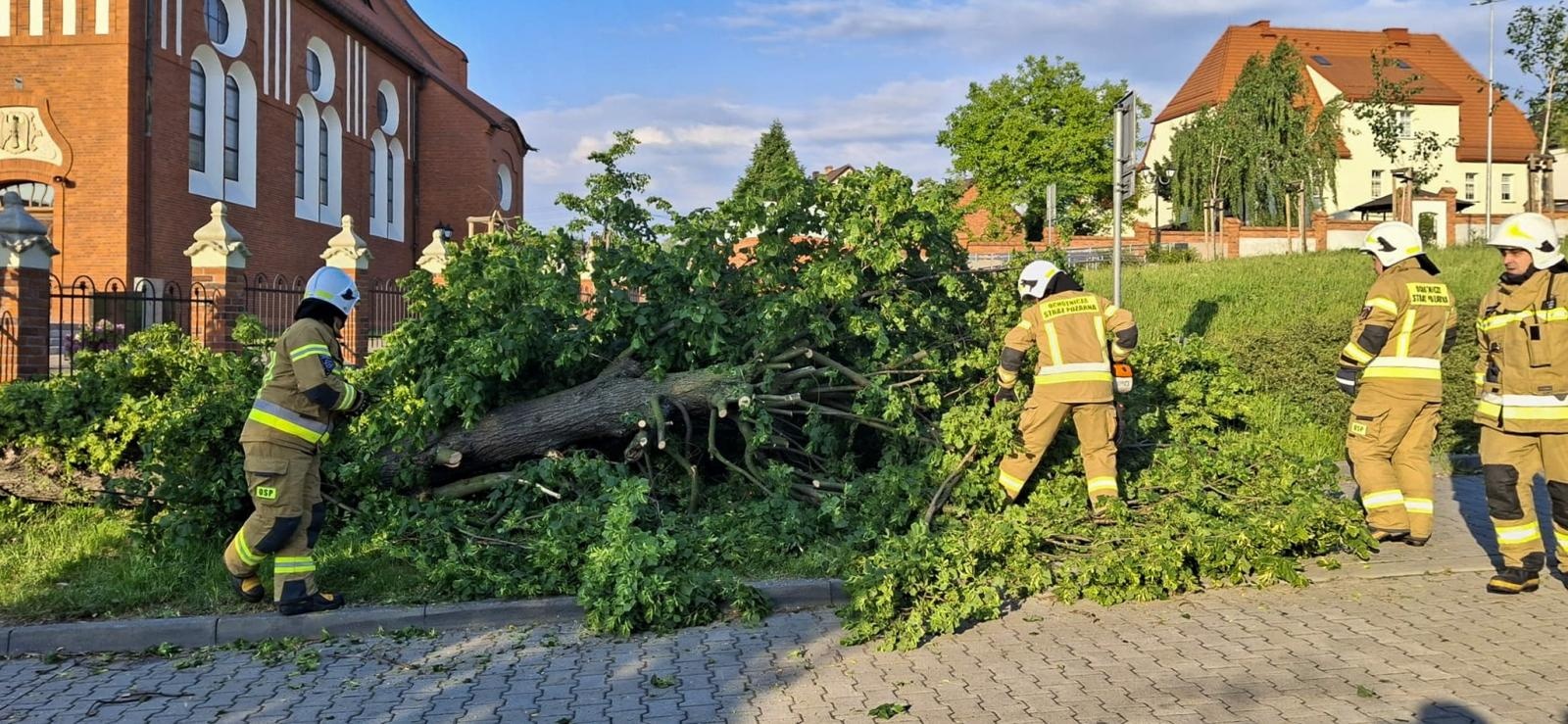 Zdjęcie w galerii na portalu naszraciborz.pl: Straż pożarna interweniowała dziewięć razy w powiecie raciborskim. Zdarzenia medyczne, drzewa na drogach i działania po silnym wietrze wiadomości z regionu
