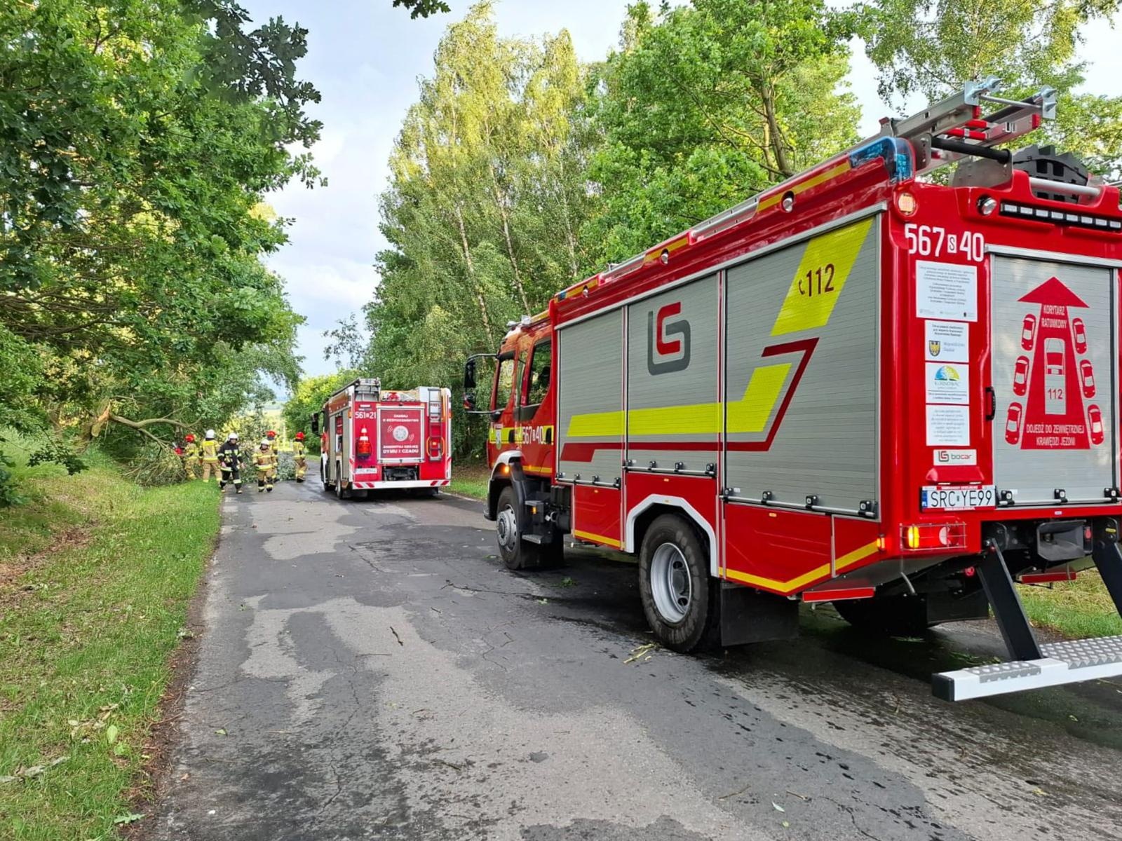 Zdjęcie w galerii na portalu naszraciborz.pl: Straż pożarna interweniowała dziewięć razy w powiecie raciborskim. Zdarzenia medyczne, drzewa na drogach i działania po silnym wietrze wiadomości z regionu