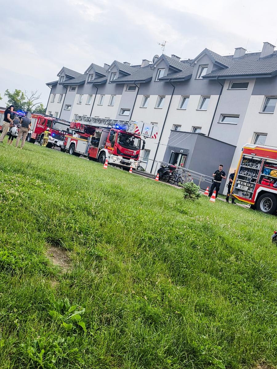 Zdjęcie w galerii na portalu naszraciborz.pl: Pożar w piwnicy bloku i zalana szkoła. Pracowity początek czerwca dla strażaków wiadomości z regionu