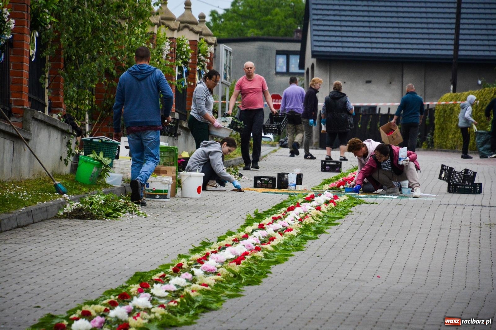 Zdjęcie w galerii na portalu naszraciborz.pl: Barwne dywany, kwiaty i brzozowe gałązki. Brzezie przygotowuje się do Bożego Ciała wiadomości z regionu