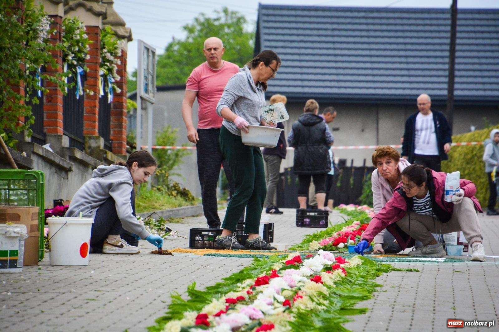 Zdjęcie w galerii na portalu naszraciborz.pl: Barwne dywany, kwiaty i brzozowe gałązki. Brzezie przygotowuje się do Bożego Ciała wiadomości z regionu
