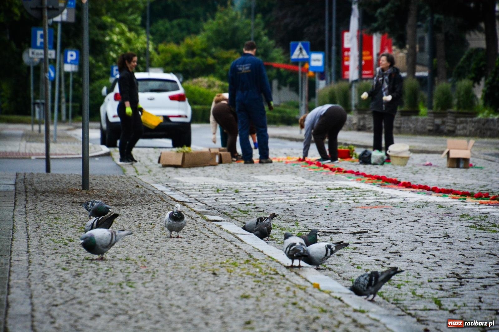 Zdjęcie w galerii na portalu naszraciborz.pl: Raciborskie stare miasto gotowe na procesję Bożego Ciała [FOTO] wiadomości z regionu