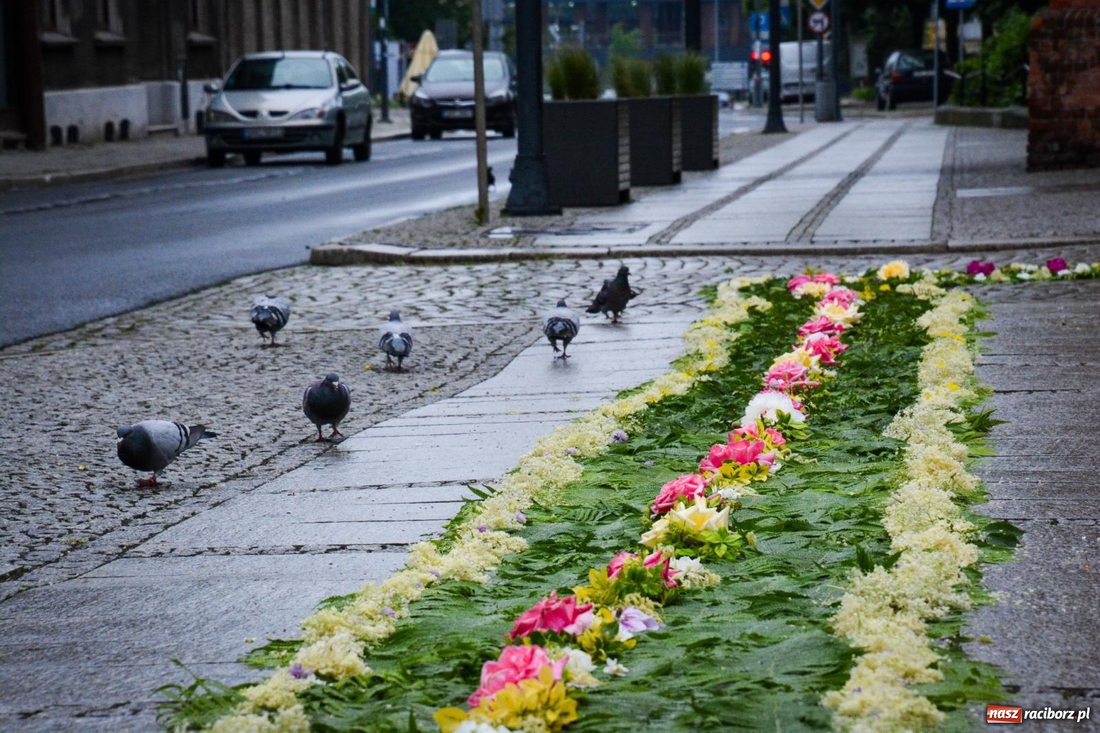 Zdjęcie w galerii na portalu naszraciborz.pl: Raciborskie stare miasto gotowe na procesję Bożego Ciała [FOTO] wiadomości z regionu