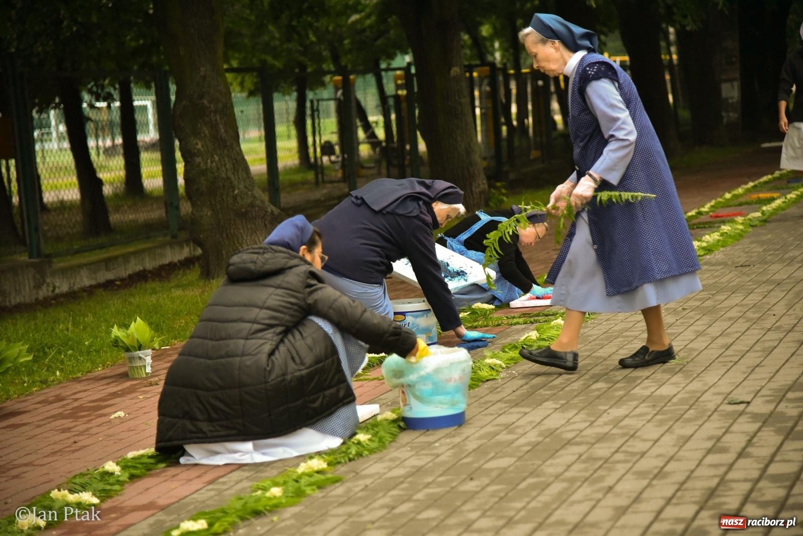 Zdjęcie w galerii na portalu naszraciborz.pl: Przygotowania do procesji Bożego Ciała w parafiach NSPJ i Matki Bożej [FOTO] wiadomości z regionu