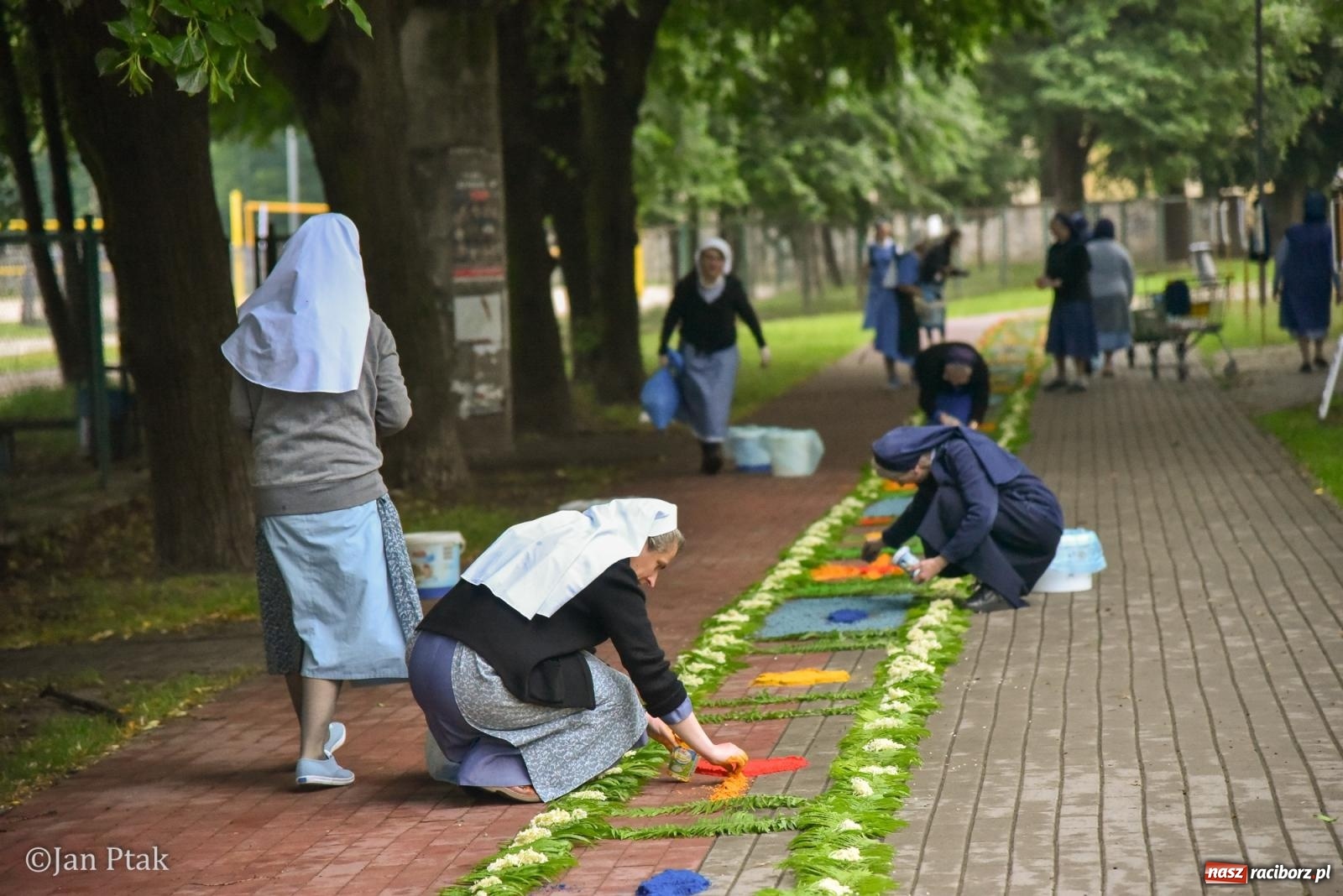 Zdjęcie w galerii na portalu naszraciborz.pl: Przygotowania do procesji Bożego Ciała w parafiach NSPJ i Matki Bożej [FOTO] wiadomości z regionu