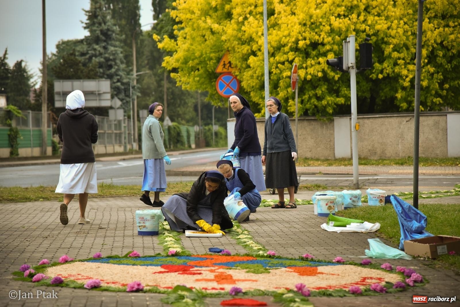 Zdjęcie w galerii na portalu naszraciborz.pl: Przygotowania do procesji Bożego Ciała w parafiach NSPJ i Matki Bożej [FOTO] wiadomości z regionu