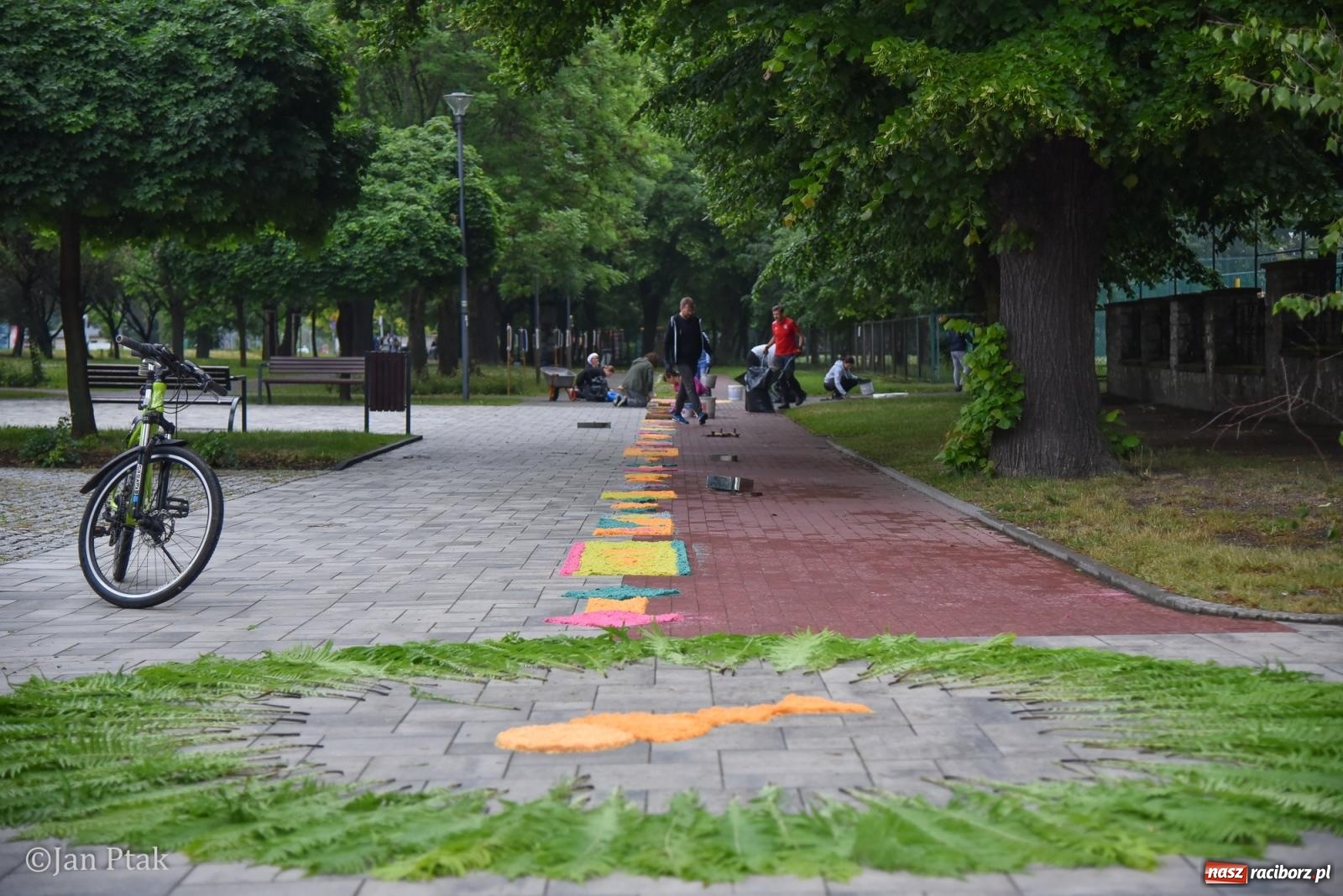 Zdjęcie w galerii na portalu naszraciborz.pl: Przygotowania do procesji Bożego Ciała w parafiach NSPJ i Matki Bożej [FOTO] wiadomości z regionu
