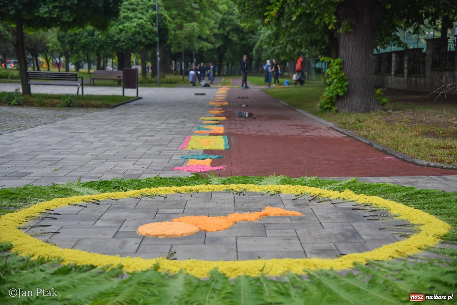 Zdjęcie w galerii na portalu naszraciborz.pl: Przygotowania do procesji Bożego Ciała w parafiach NSPJ i Matki Bożej [FOTO] wiadomości z regionu