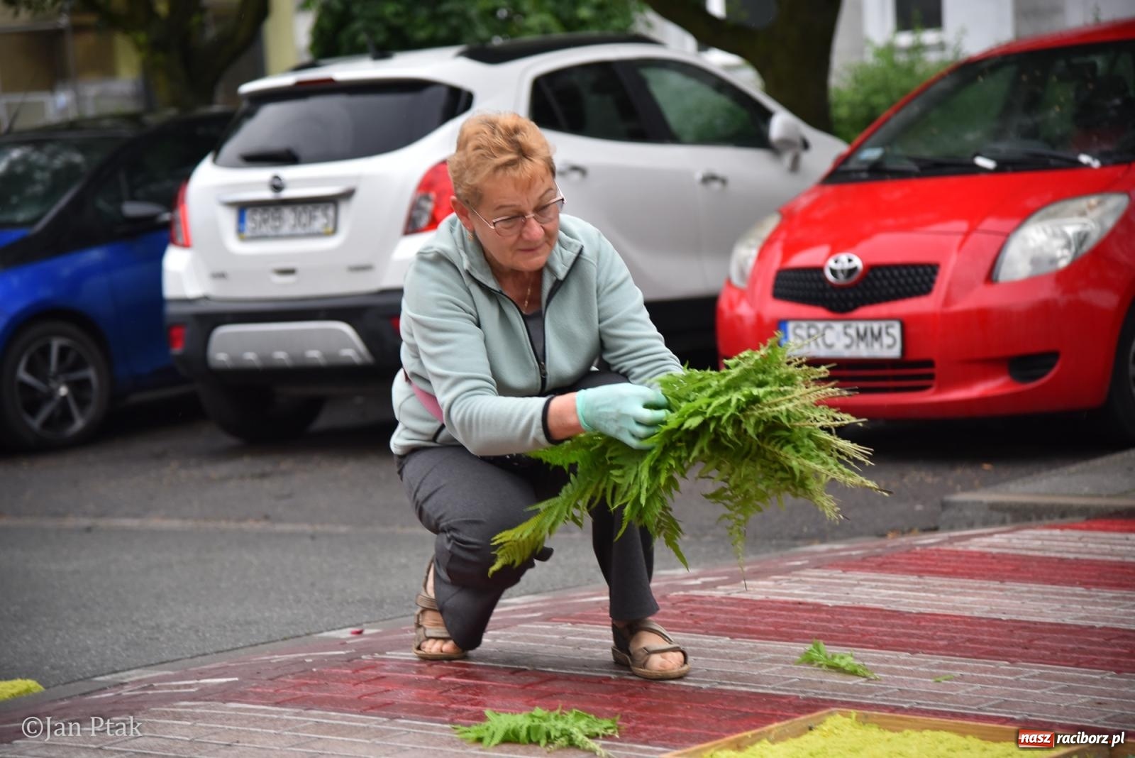 Zdjęcie w galerii na portalu naszraciborz.pl: Przygotowania do procesji Bożego Ciała w parafiach NSPJ i Matki Bożej [FOTO] wiadomości z regionu
