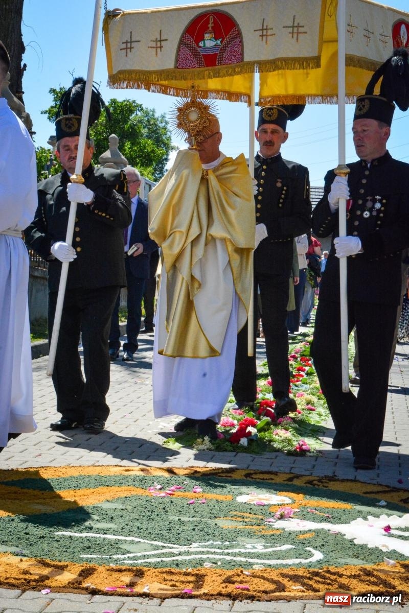Zdjęcie w galerii na portalu naszraciborz.pl: Tłumy na procesji Bożego Ciała w Brzeziu. Na drodze Najświętszego Sakramentu prawdziwe dzieła sztuki wiadomości z regionu