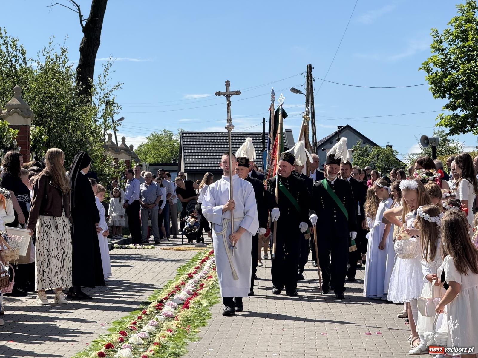 Zdjęcie w galerii na portalu naszraciborz.pl: Tłumy na procesji Bożego Ciała w Brzeziu. Na drodze Najświętszego Sakramentu prawdziwe dzieła sztuki wiadomości z regionu