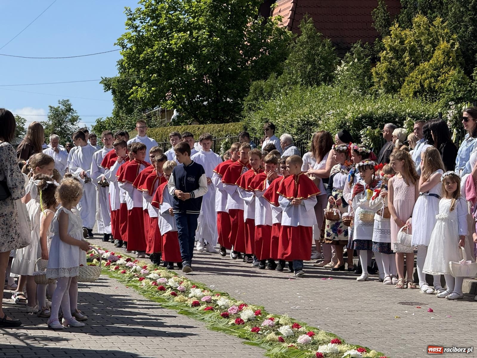 Zdjęcie w galerii na portalu naszraciborz.pl: Tłumy na procesji Bożego Ciała w Brzeziu. Na drodze Najświętszego Sakramentu prawdziwe dzieła sztuki wiadomości z regionu