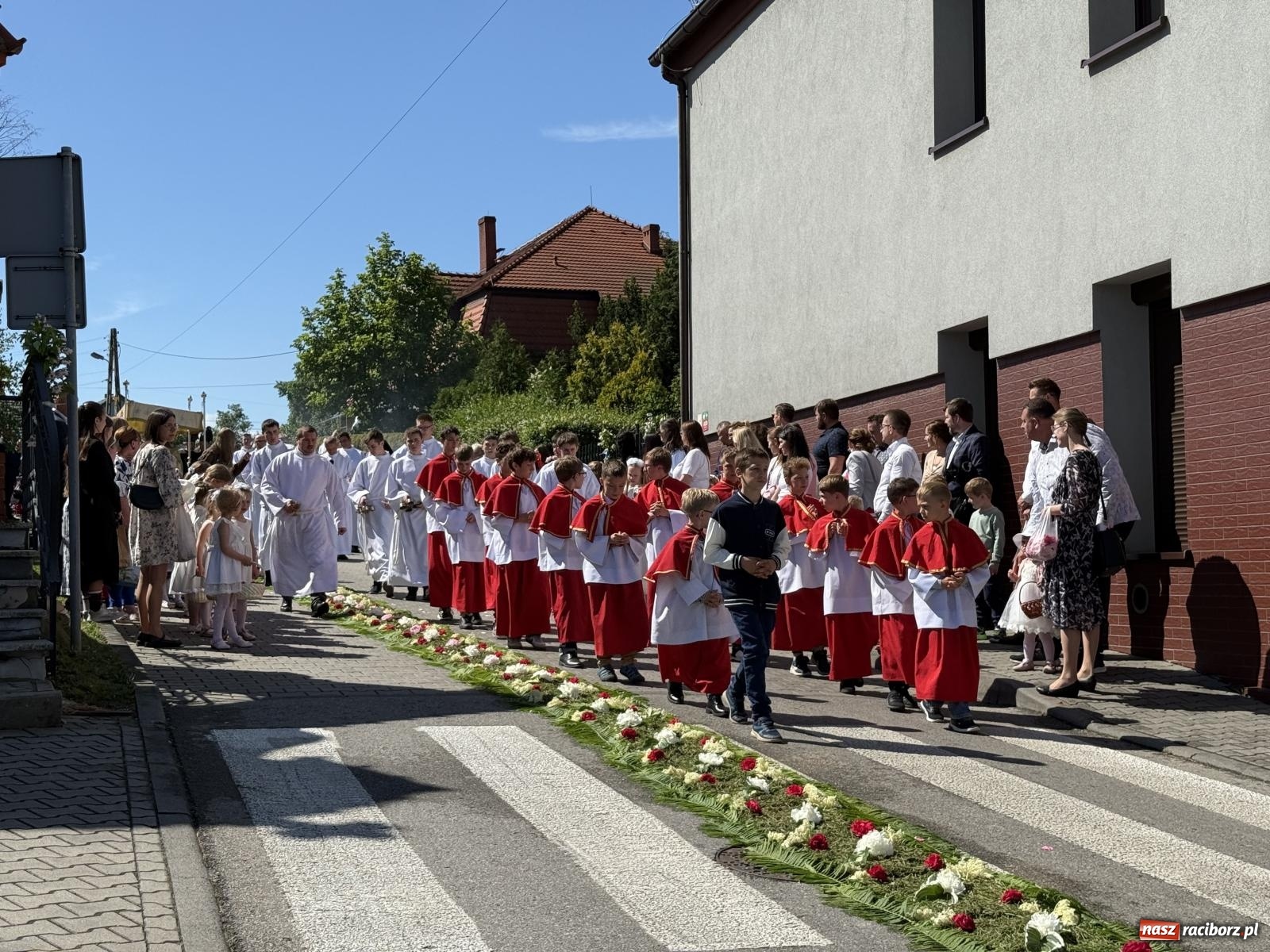 Zdjęcie w galerii na portalu naszraciborz.pl: Tłumy na procesji Bożego Ciała w Brzeziu. Na drodze Najświętszego Sakramentu prawdziwe dzieła sztuki wiadomości z regionu
