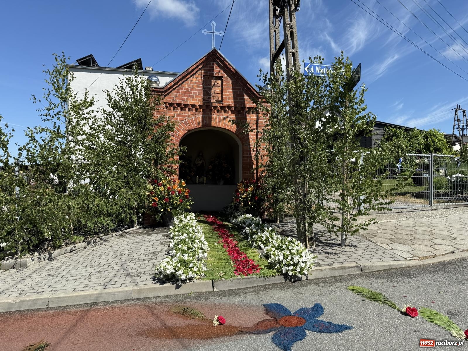 Zdjęcie w galerii na portalu naszraciborz.pl: Tłumy na procesji Bożego Ciała w Brzeziu. Na drodze Najświętszego Sakramentu prawdziwe dzieła sztuki wiadomości z regionu
