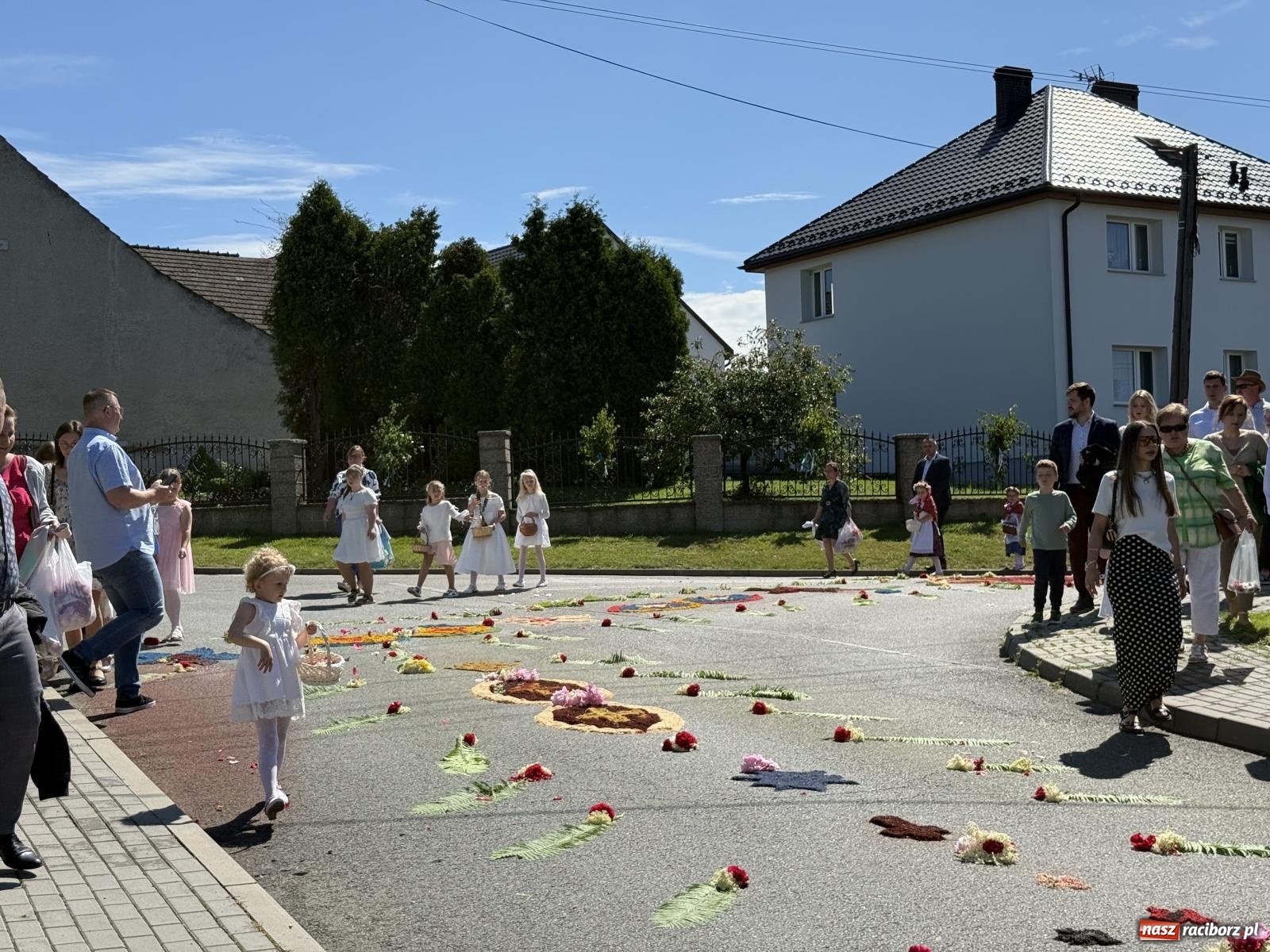 Zdjęcie w galerii na portalu naszraciborz.pl: Tłumy na procesji Bożego Ciała w Brzeziu. Na drodze Najświętszego Sakramentu prawdziwe dzieła sztuki wiadomości z regionu