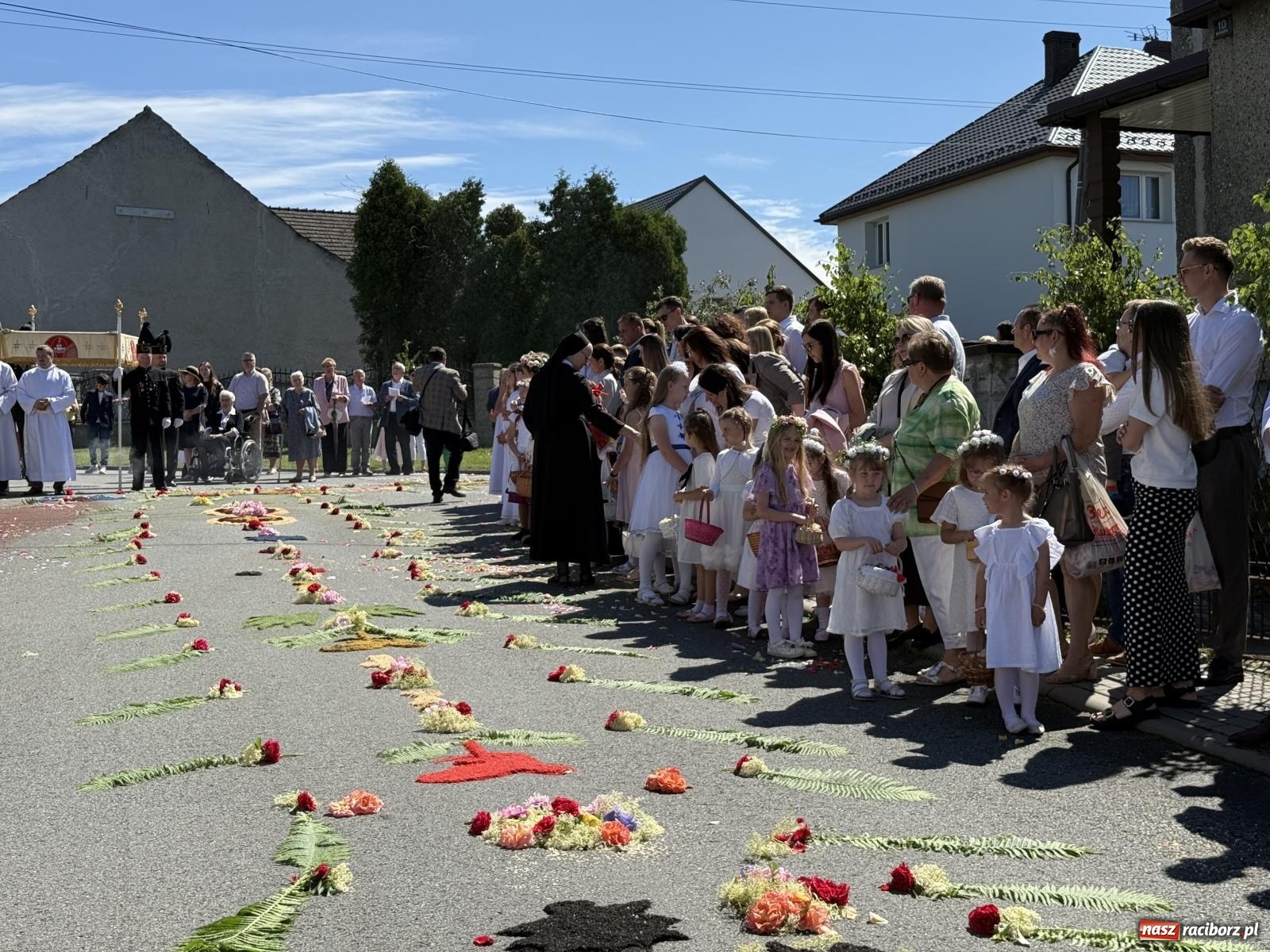 Zdjęcie w galerii na portalu naszraciborz.pl: Tłumy na procesji Bożego Ciała w Brzeziu. Na drodze Najświętszego Sakramentu prawdziwe dzieła sztuki wiadomości z regionu