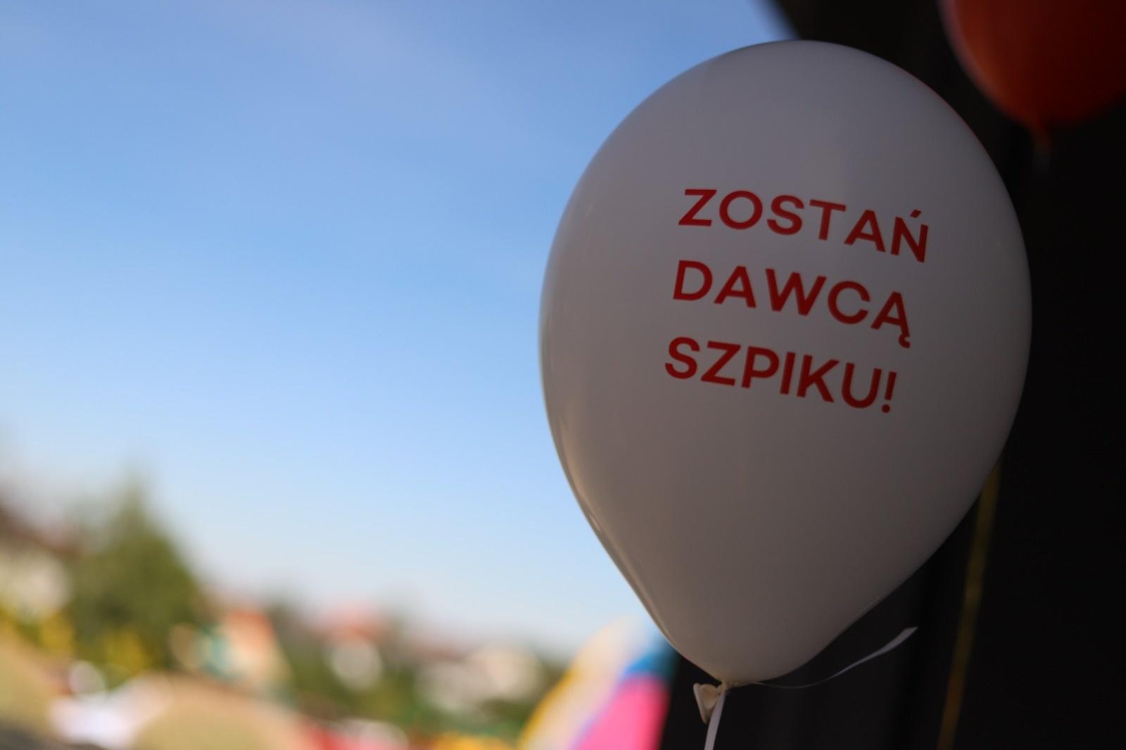 Zdjęcie w galerii na portalu naszraciborz.pl: Festyn Charytatywny w Przedszkolu i Żłobku Stokrotka dla Fundacji DKMS wiadomości z regionu